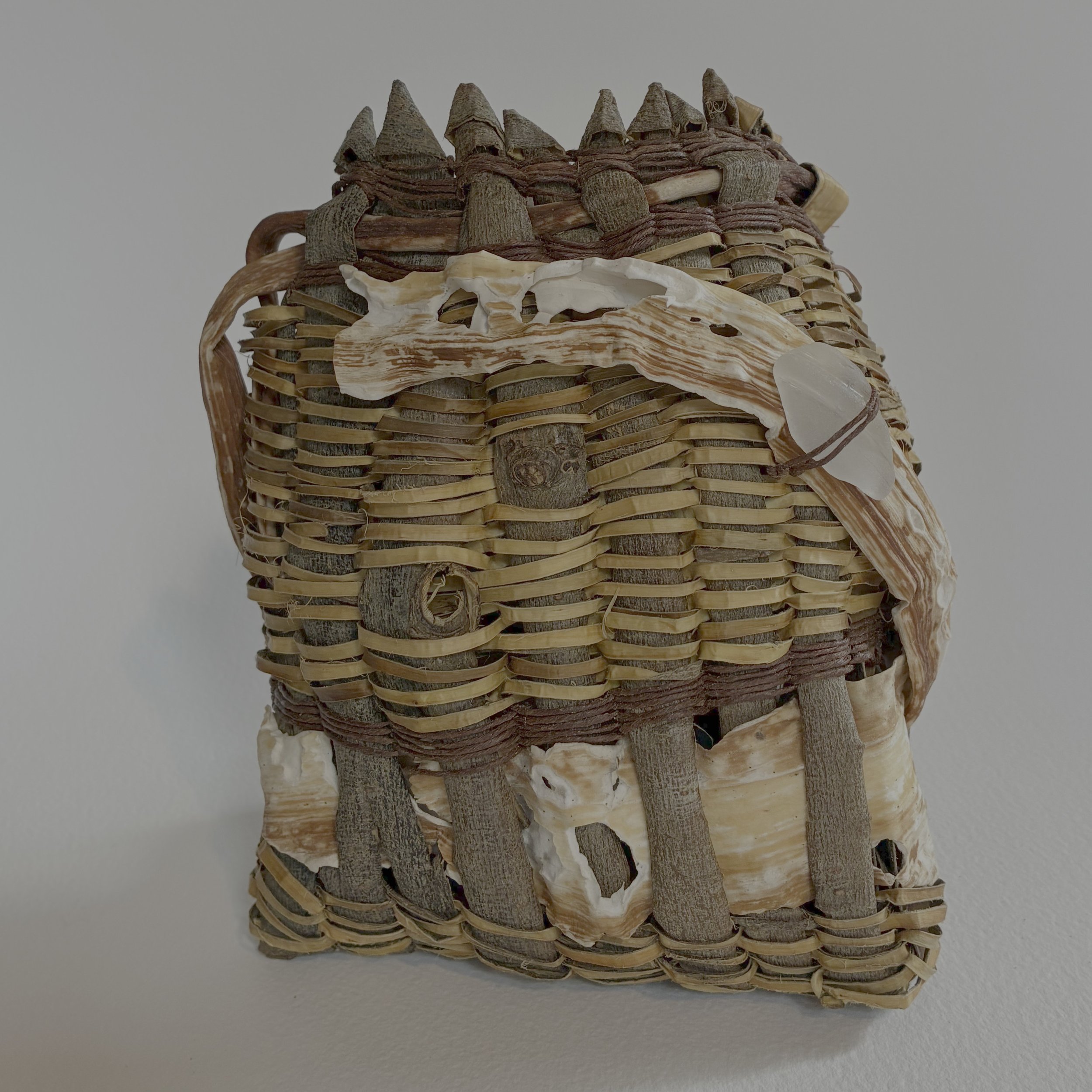 Willow Bark - class with Judy Zugish