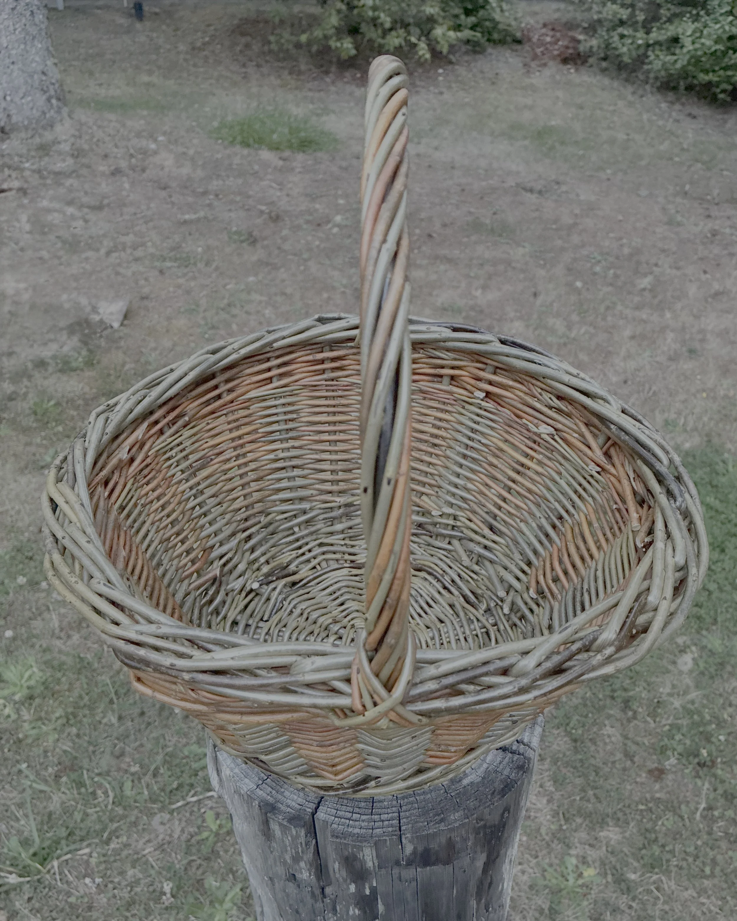 Shopping Basket - class with Eli and Ben Goodwin
