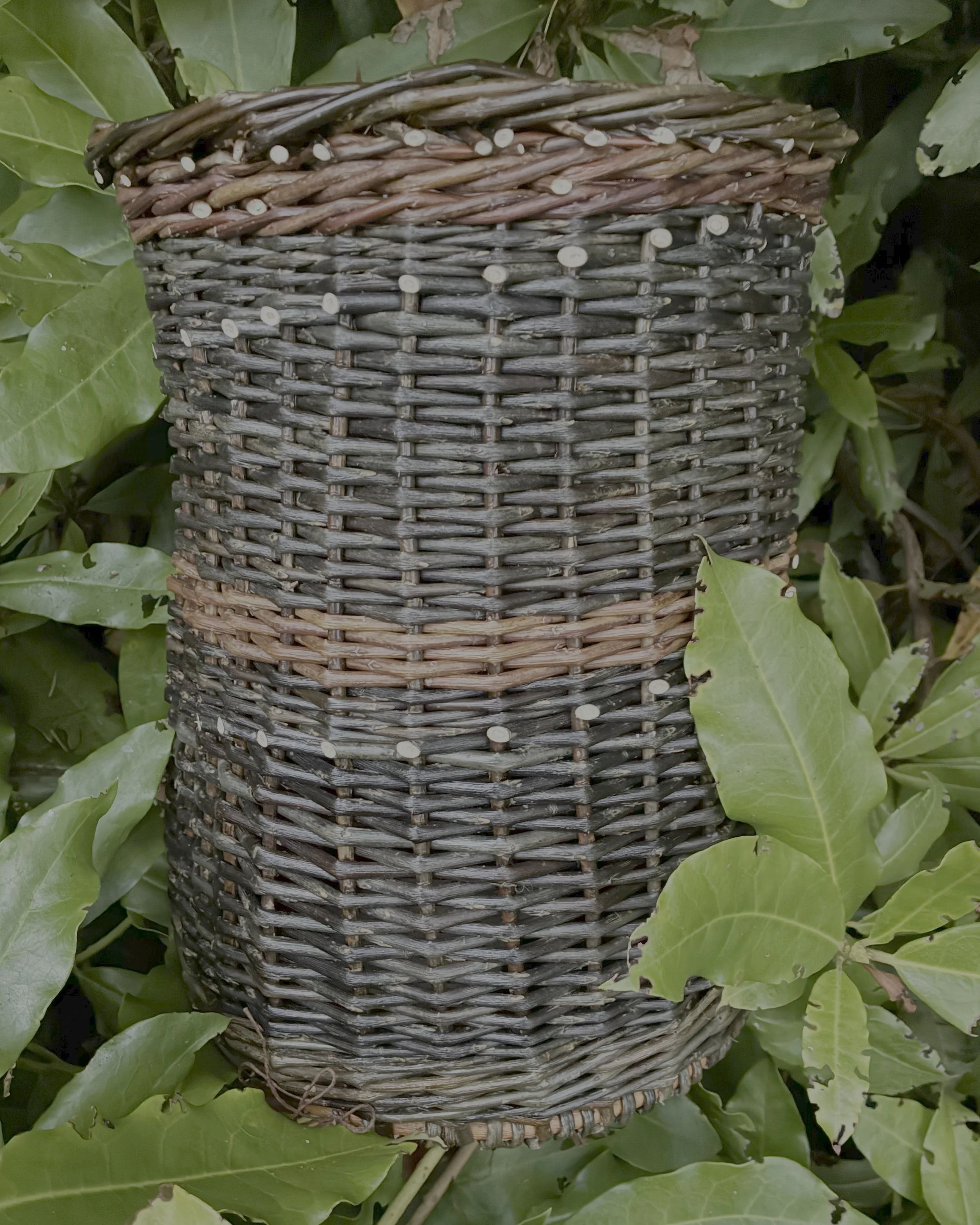 Willow waste basket - class with Carol Horvath