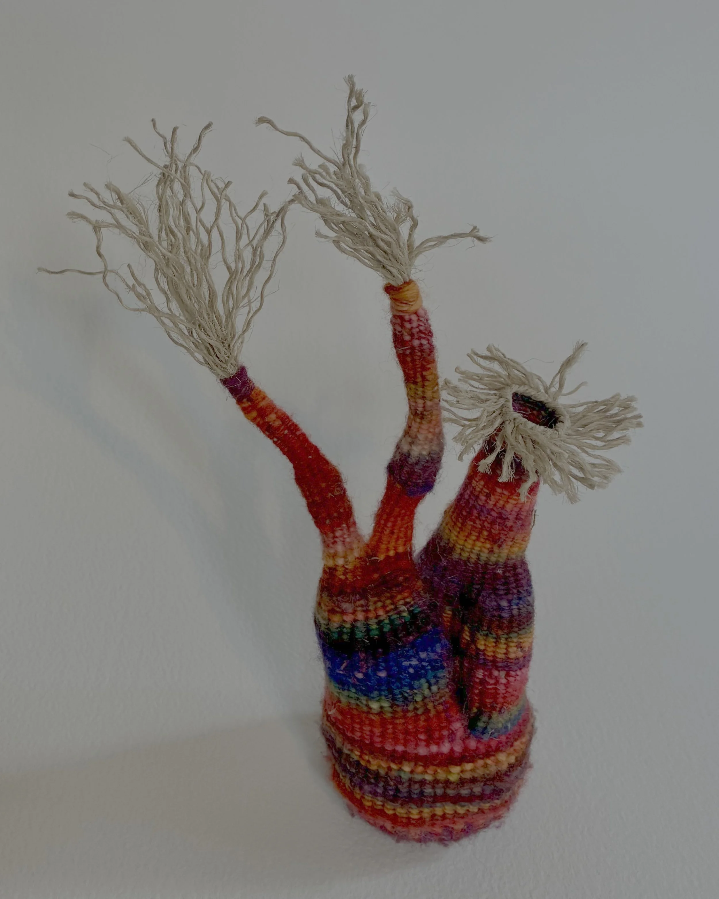 Pinkert Project 10