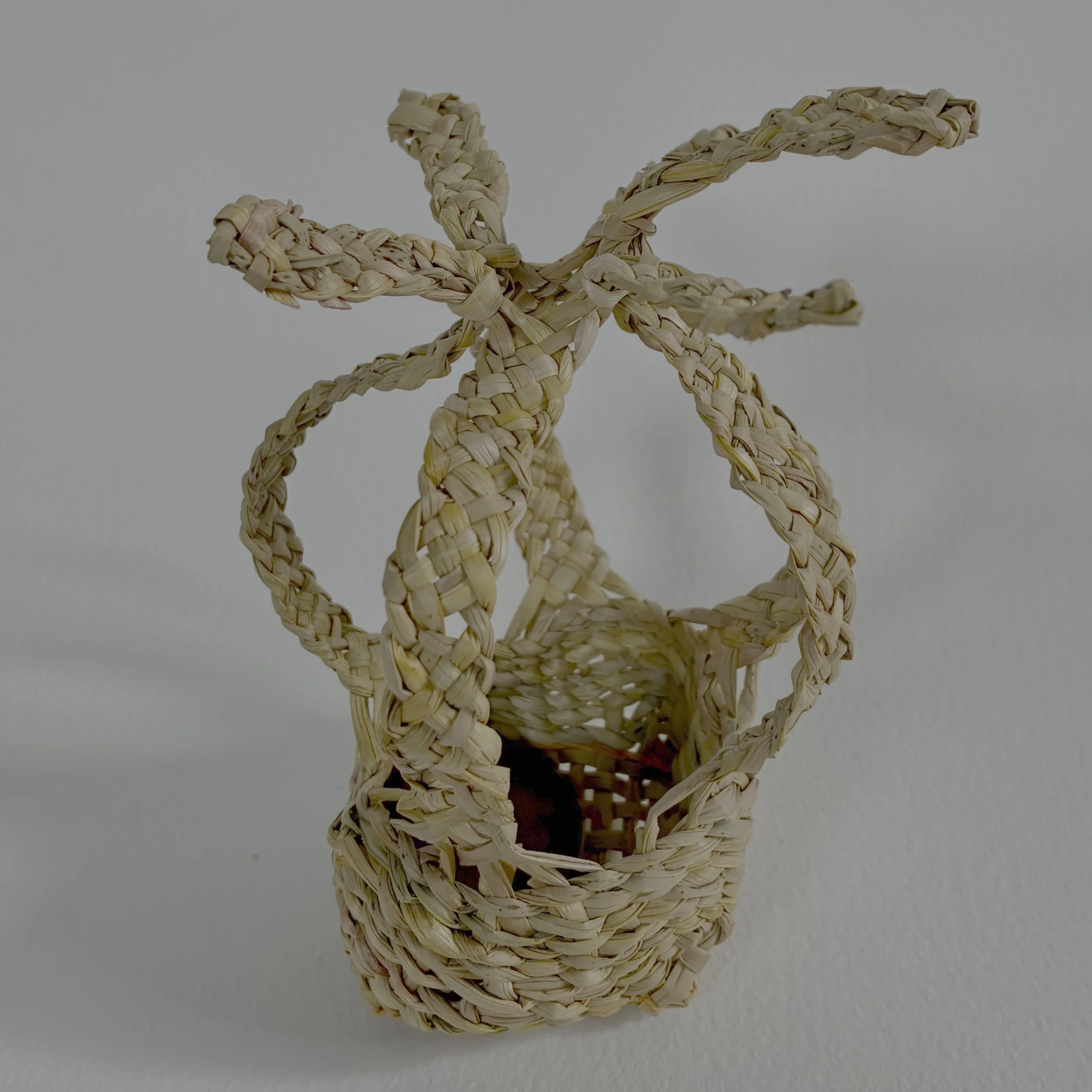 Seedpod