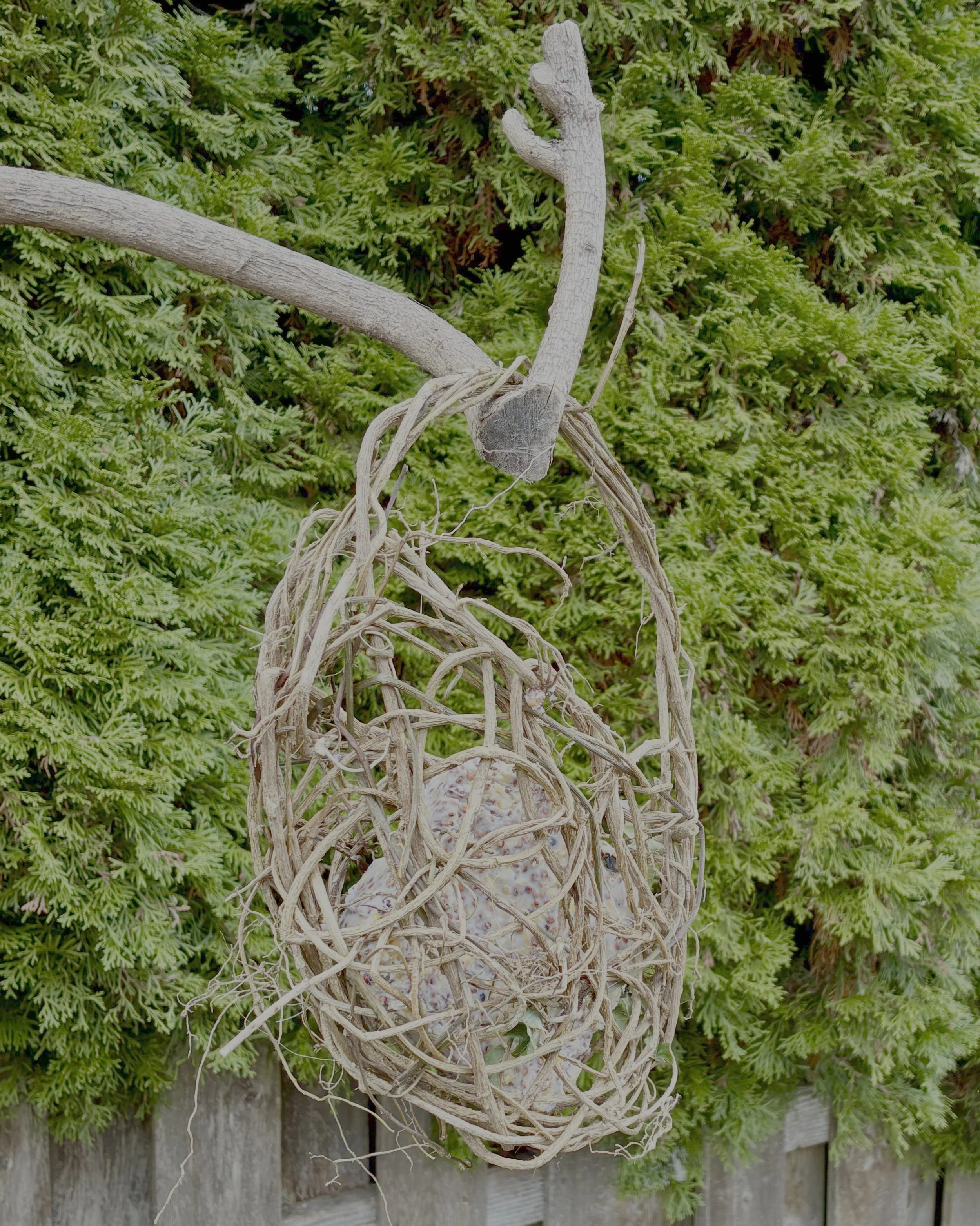 Suet basket