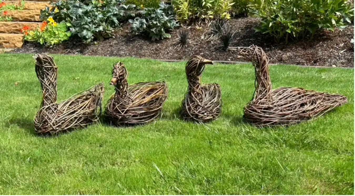 willow basketry sculpture class geese.png