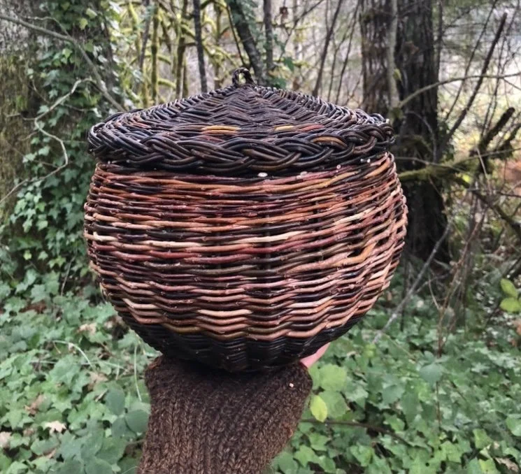 sylvia friday lidded willow basket workshop.jpeg