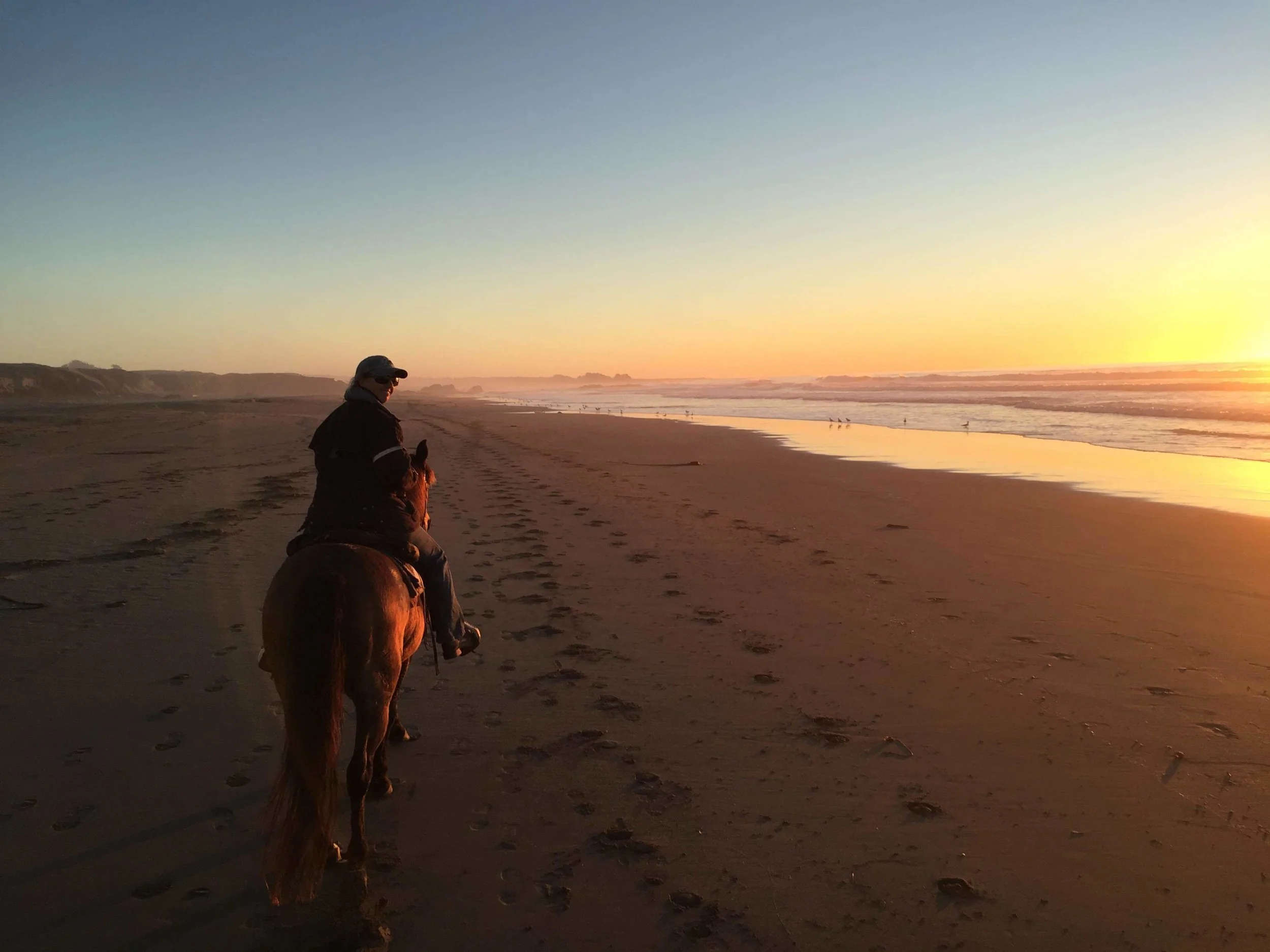 AlmanMeBeachSunset2015.jpg