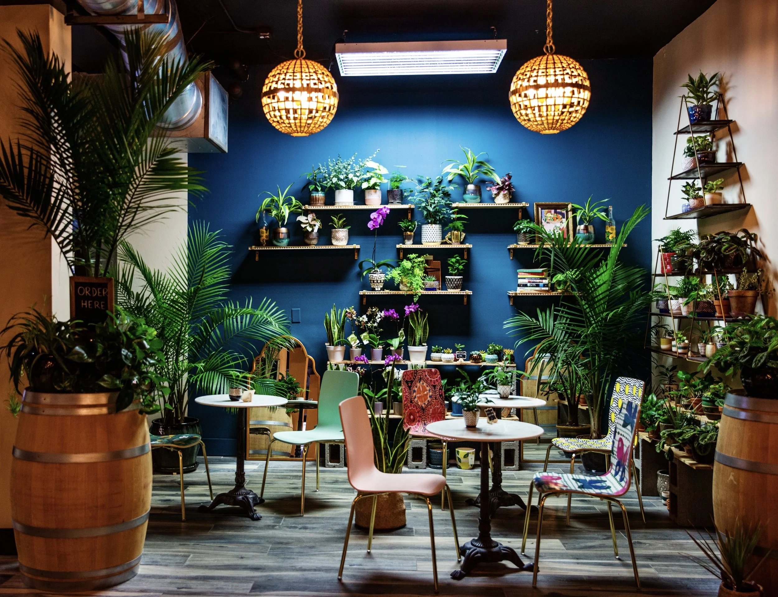 4209 University Way NE, Seattle, WA 98105 Cafe & Plant Shop