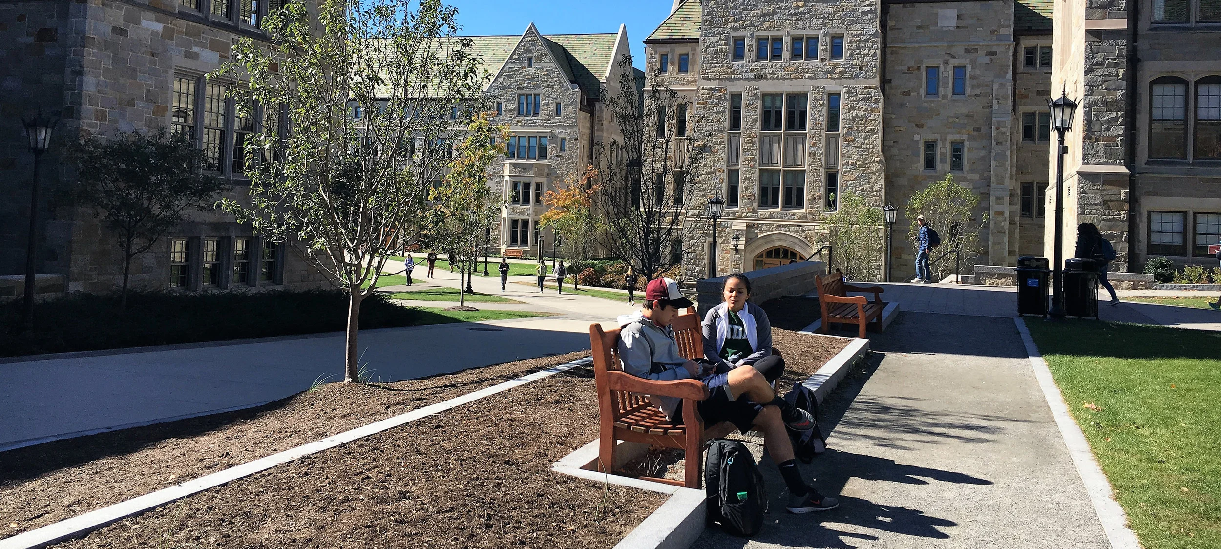 Sugar Maple College Consulting
