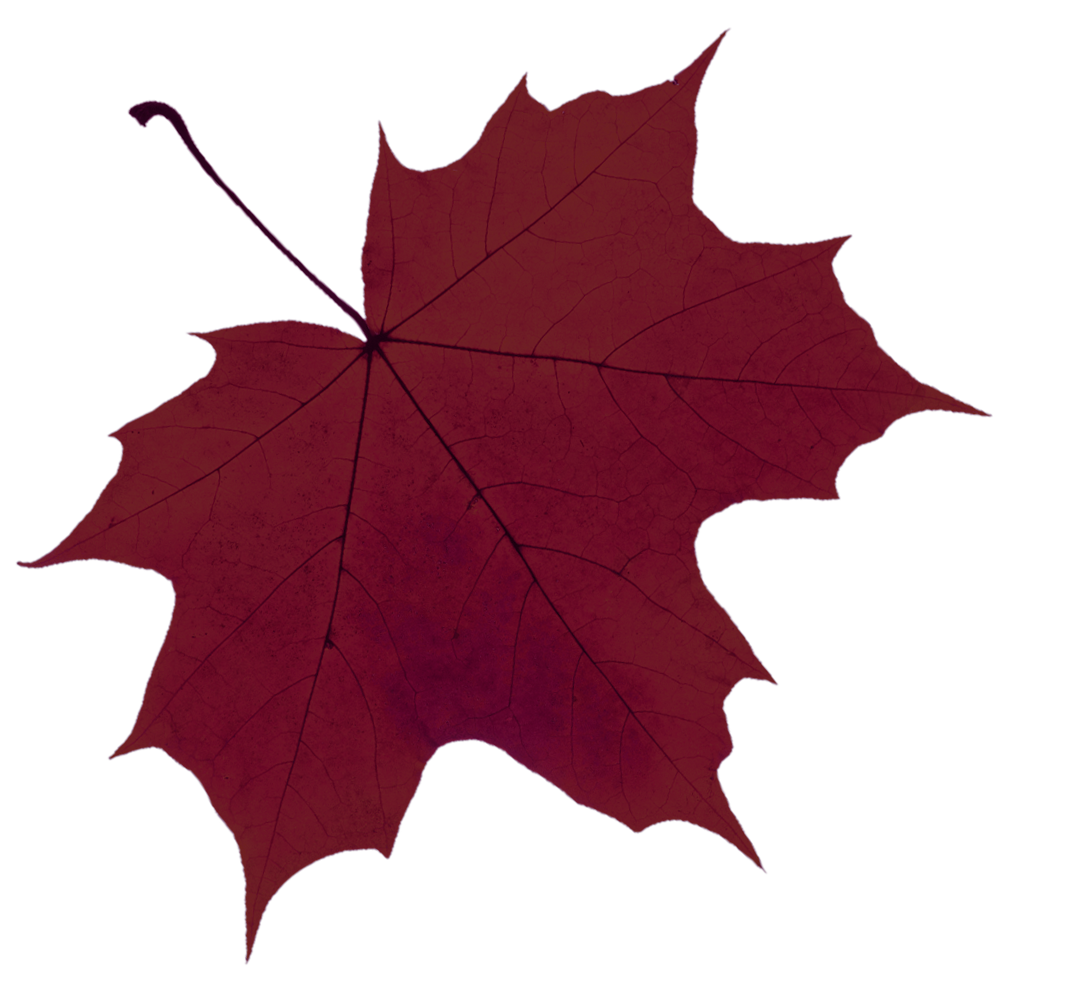 leaf-red.png