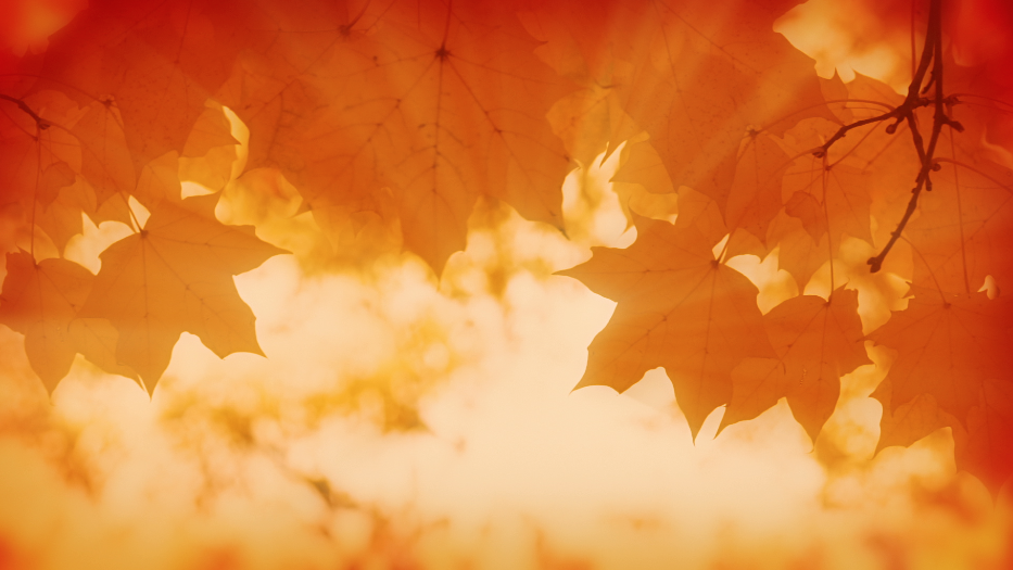 Screen Shot 2017-01-19 at 3.37.44 PM.png