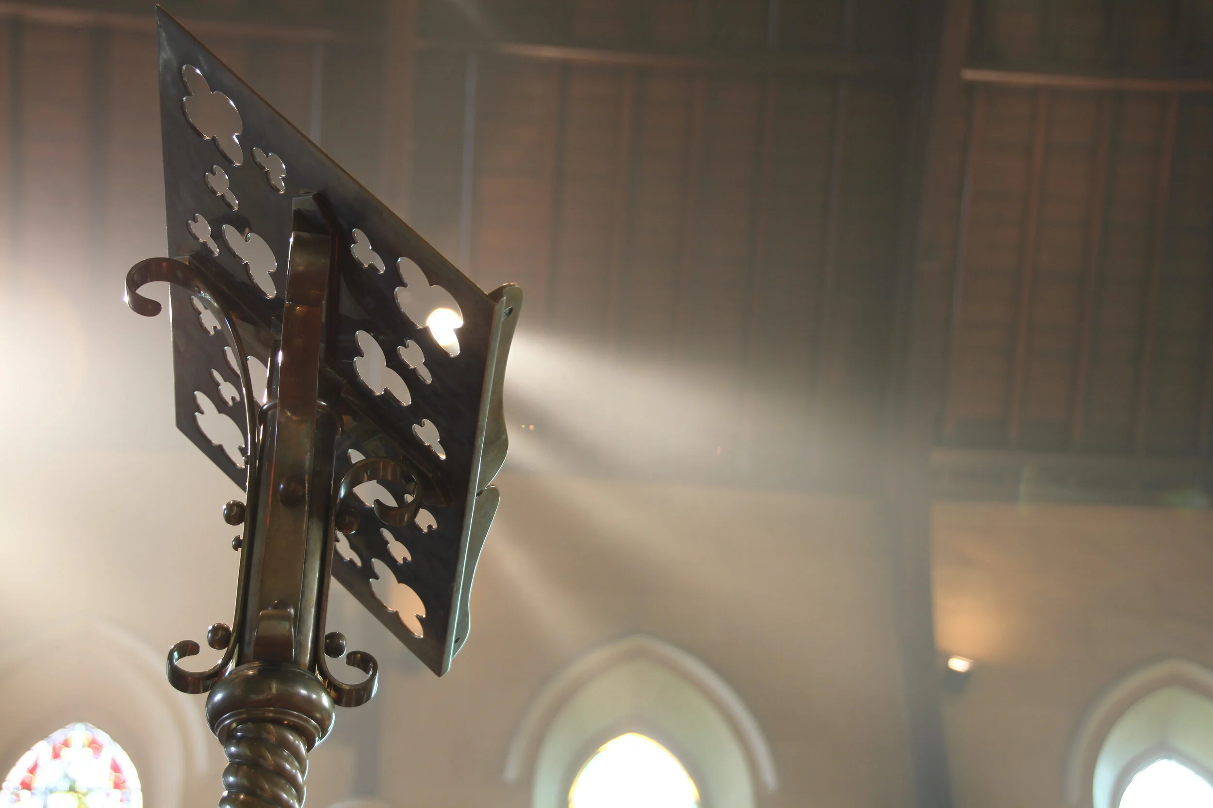 The fifteenth Sunday in ordinary time