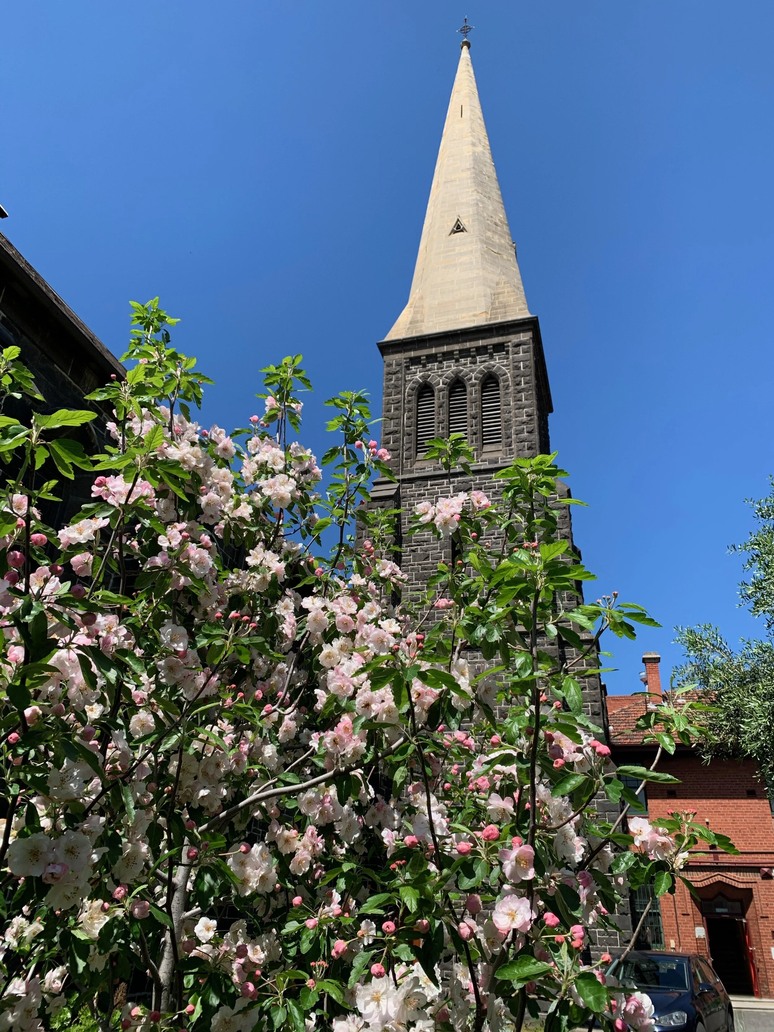 The twenty-ninth Sunday in ordinary time