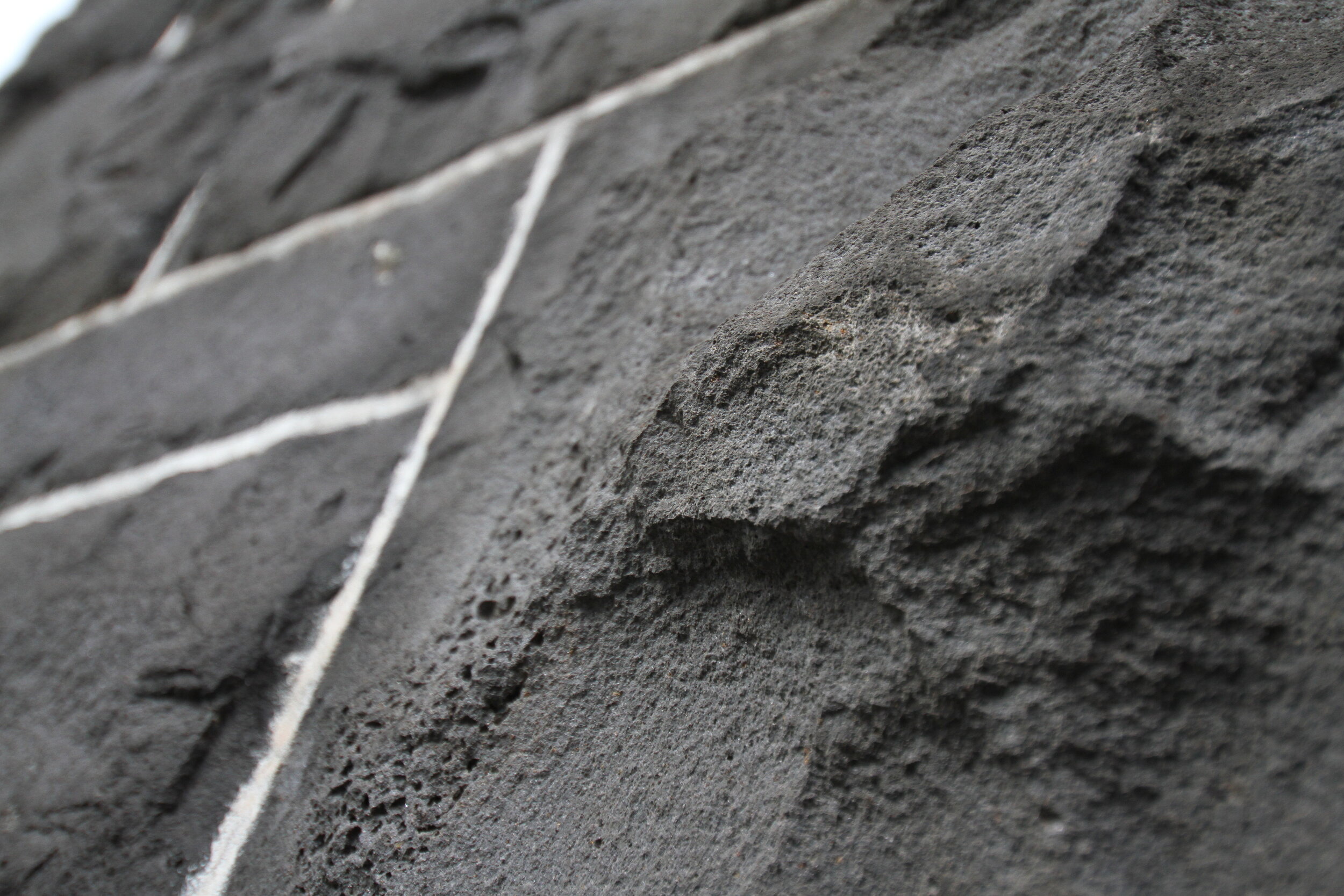 The second Sunday in ordinary time