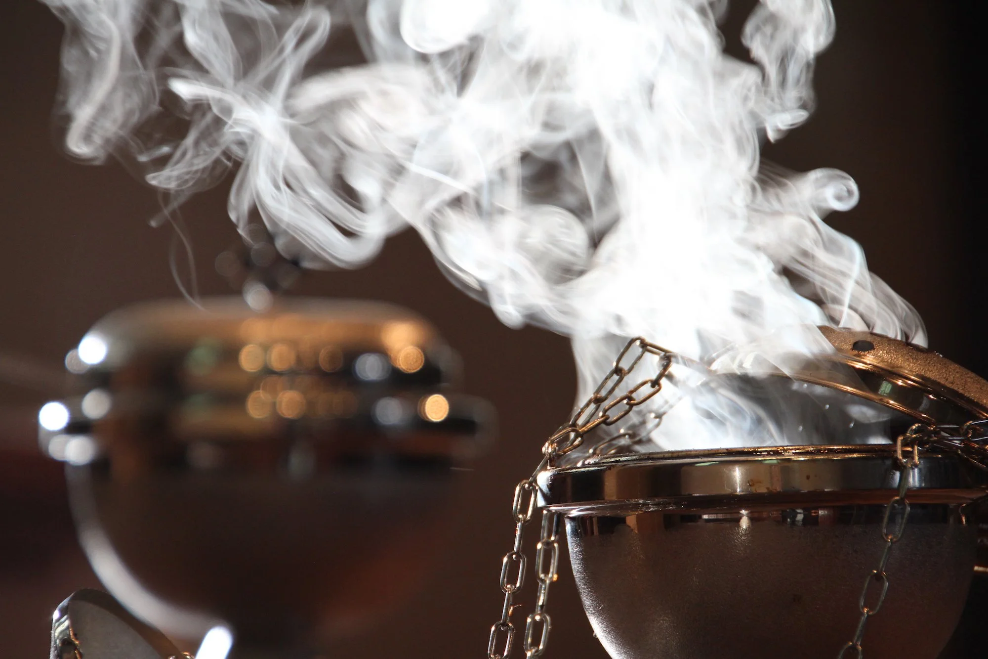 Catholic Renewal Sunday