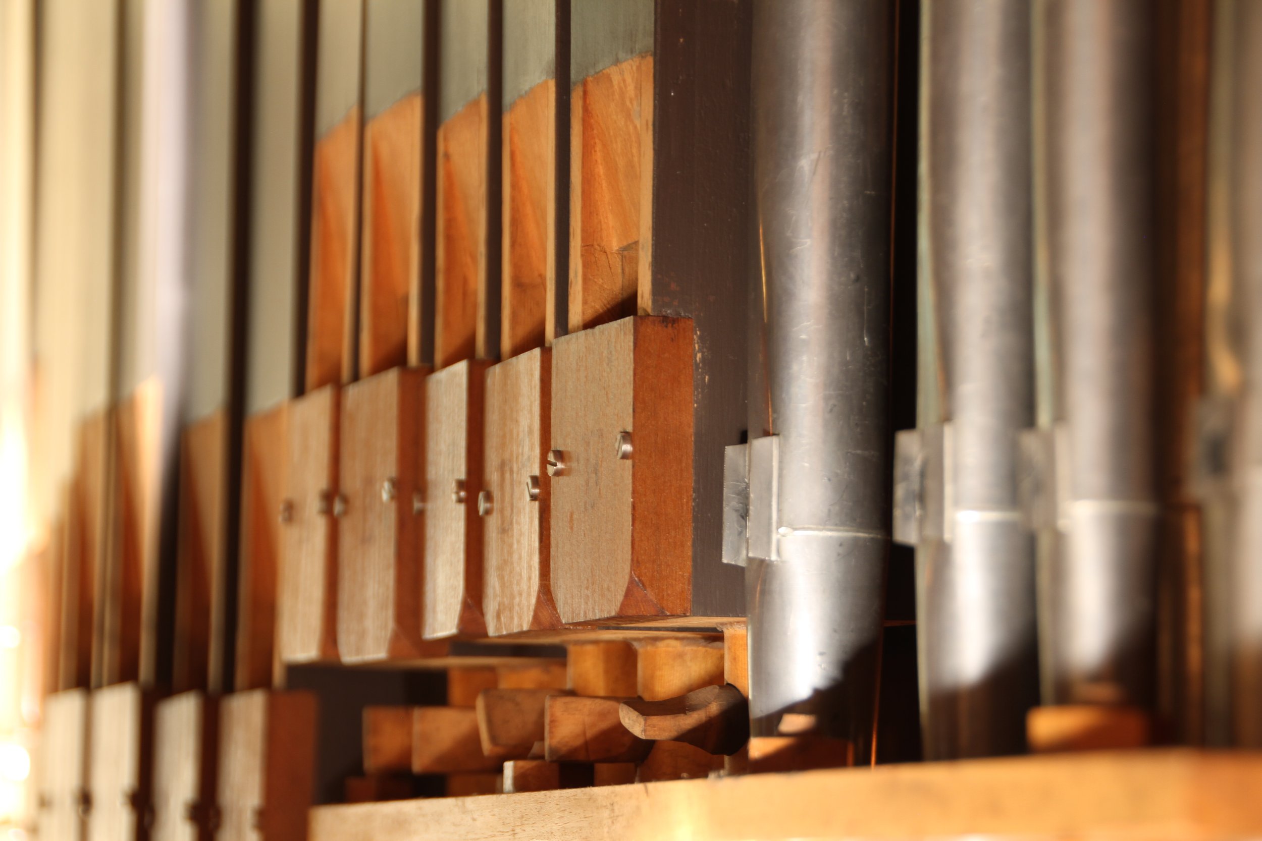 Twenty-Fourth Sunday in Ordinary Time