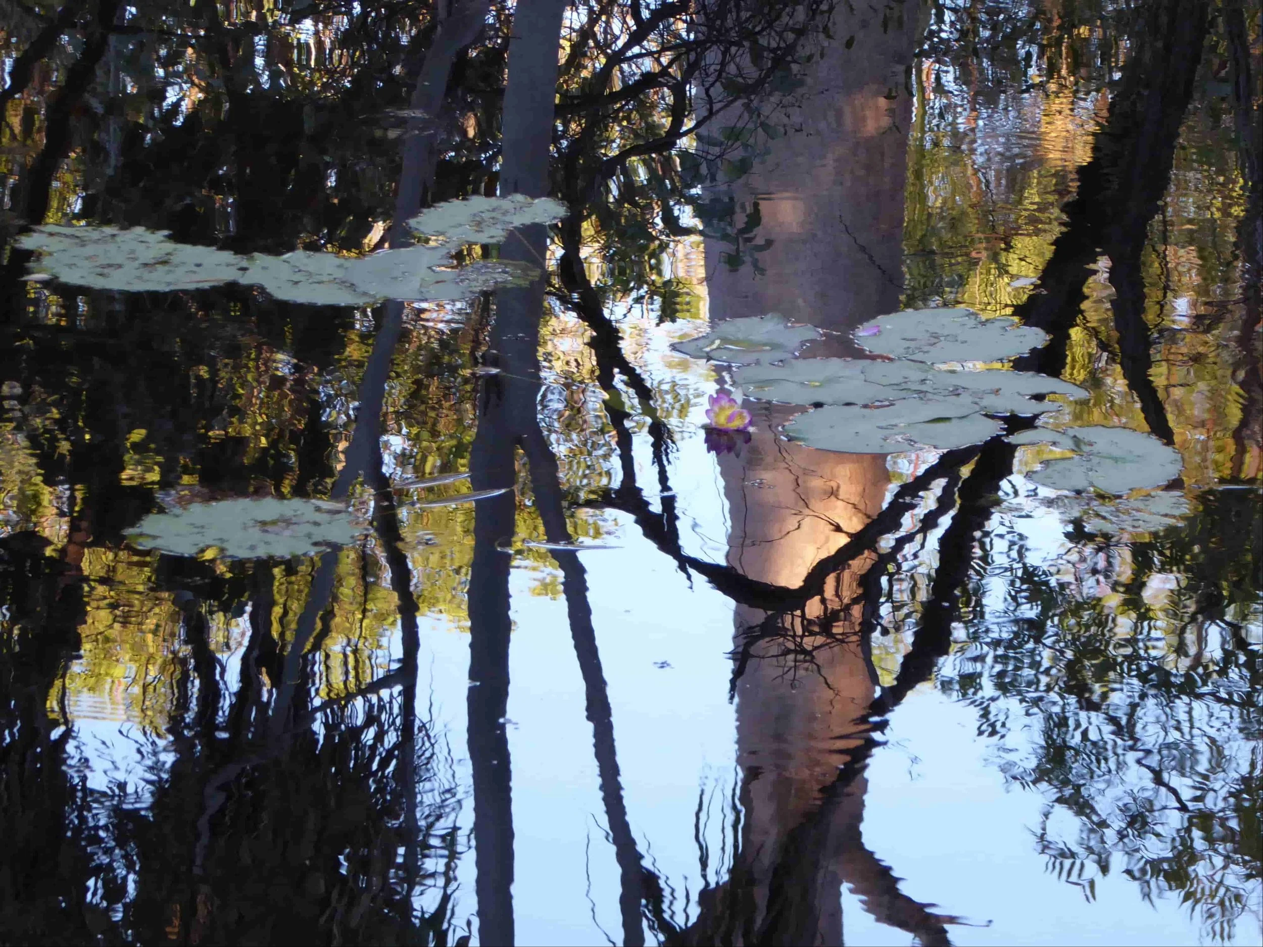 The Well Spring –&nbsp;Cantabile Chamber Choir