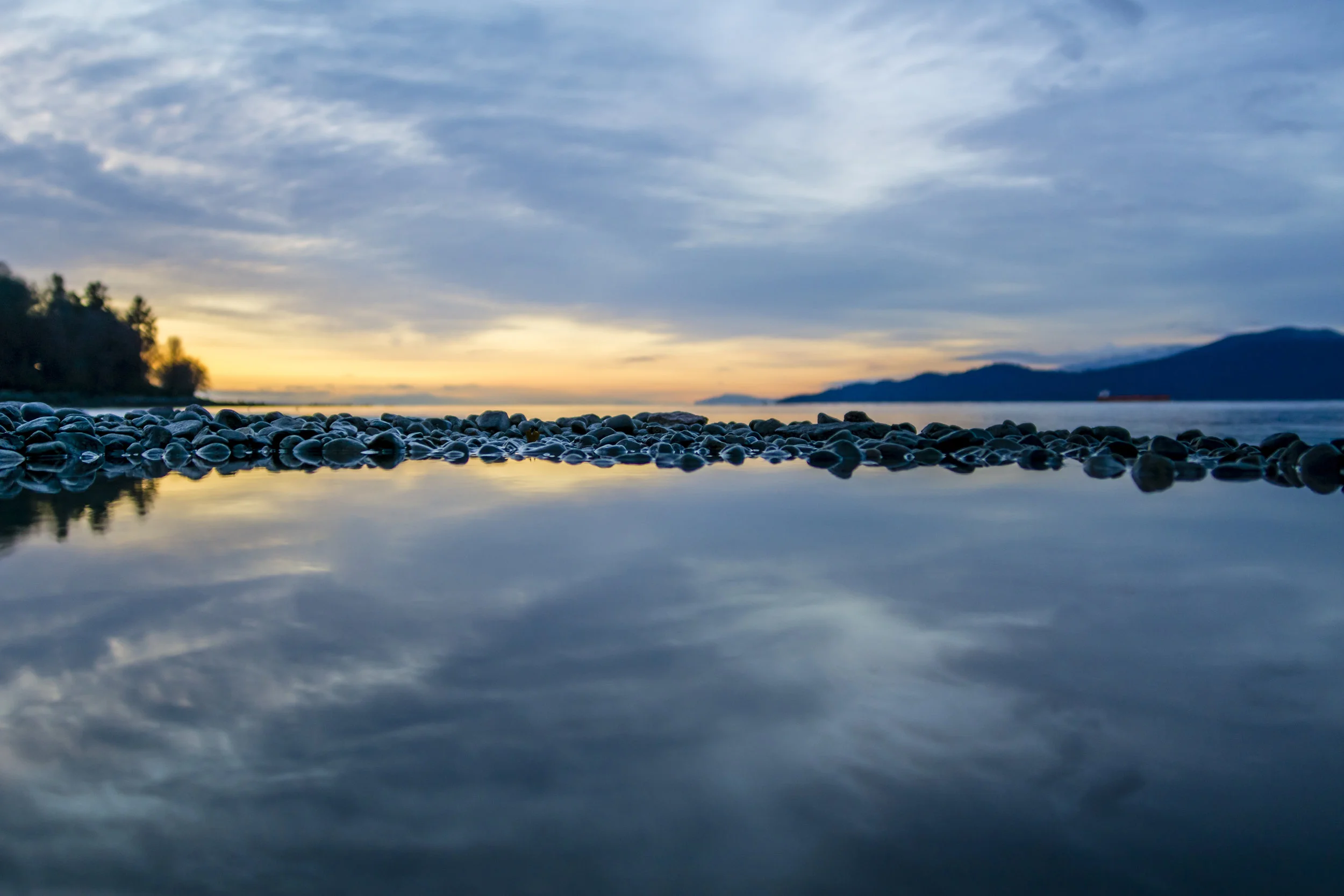 Spanish Banks, 2016