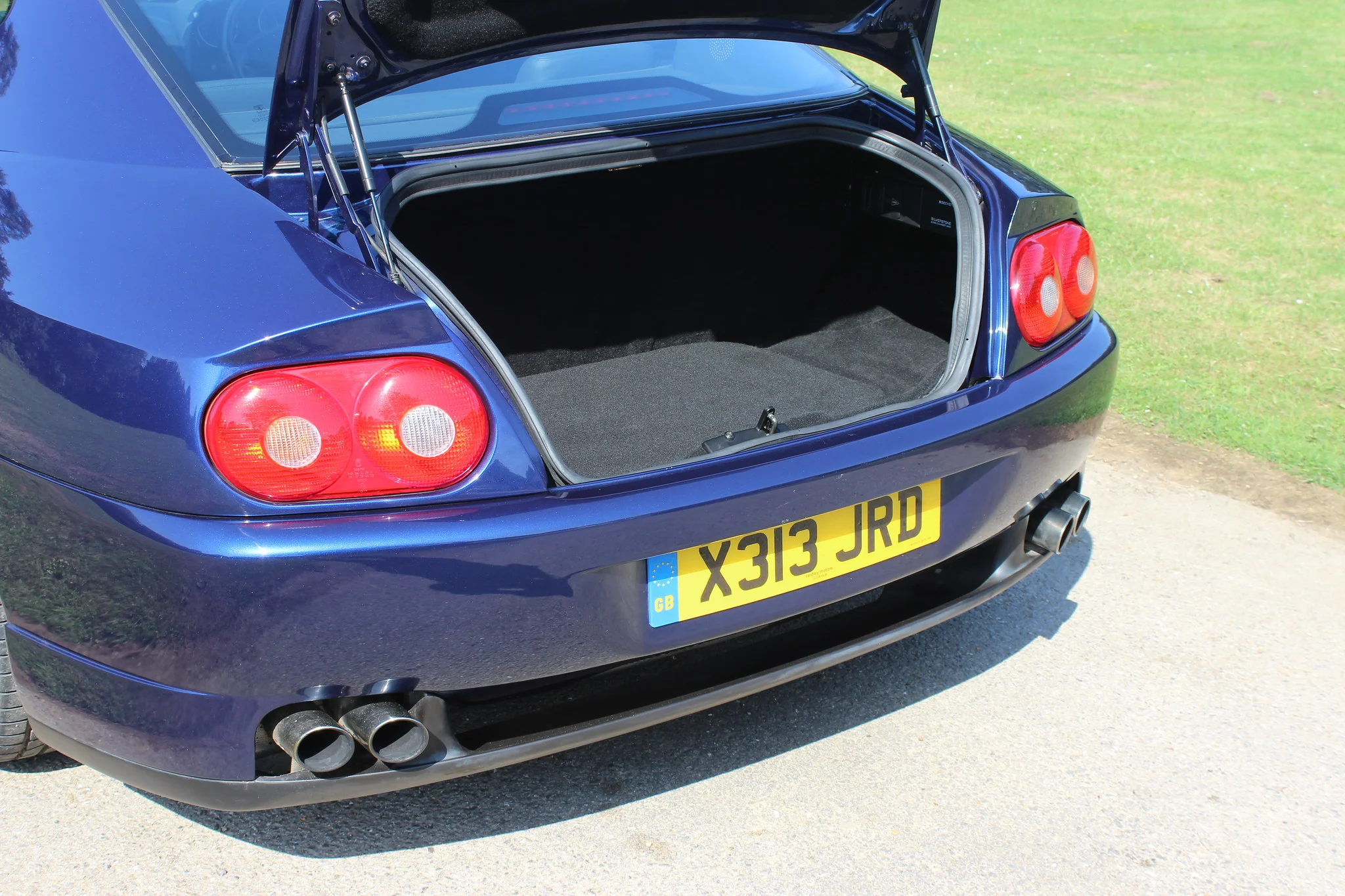 IMG_9311-X4.jpg