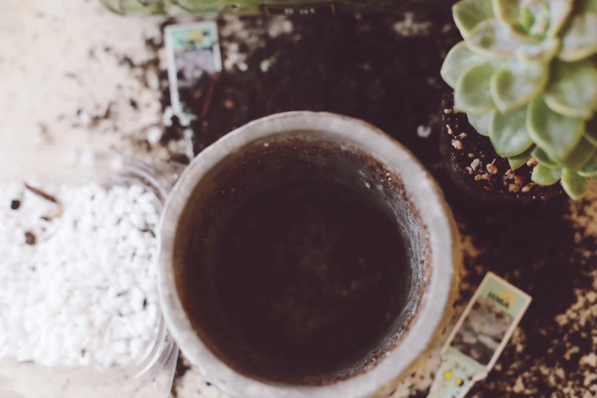 Now it's time to repeat steps for your other plants :)