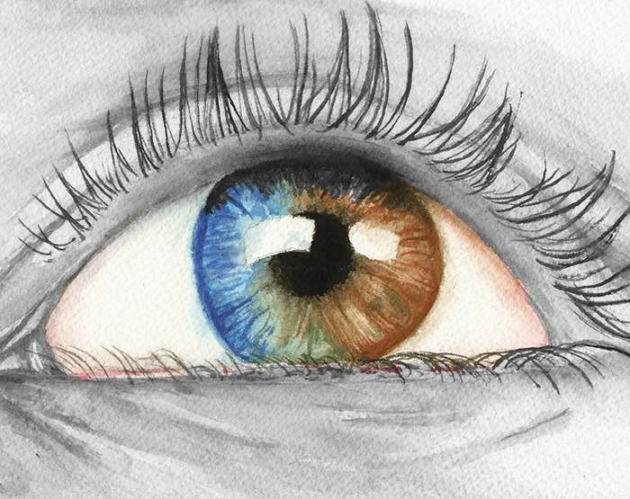 Blue Eyes Brown Eyes