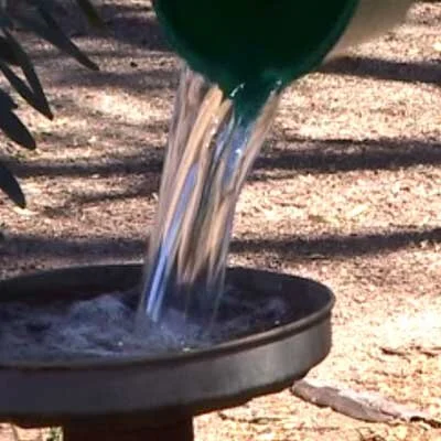  Every Drop Counts - Quorn SA