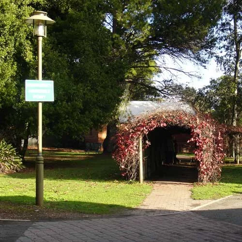 Precious - Unley SA