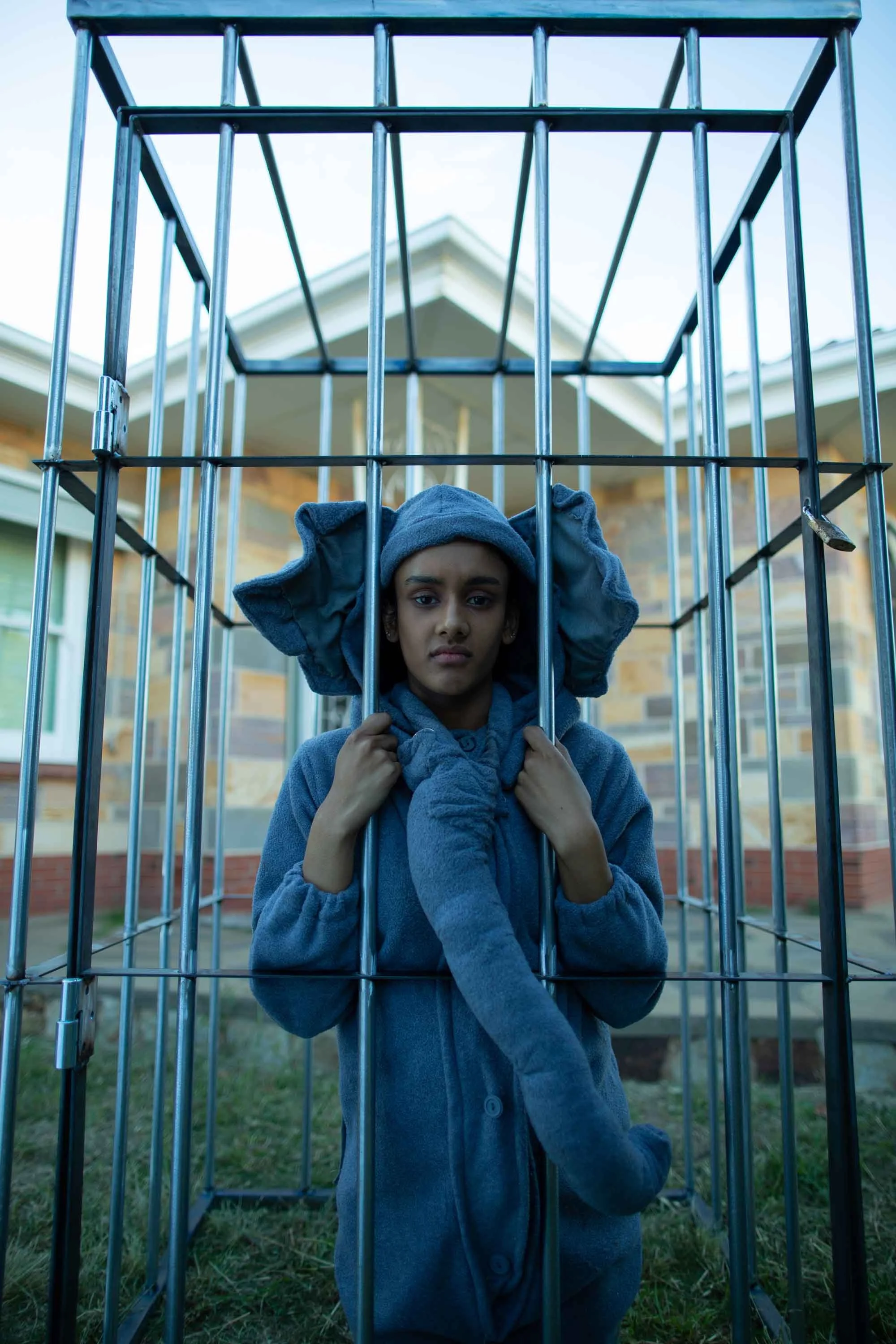 AFF presents: The Last Elephant on Earth