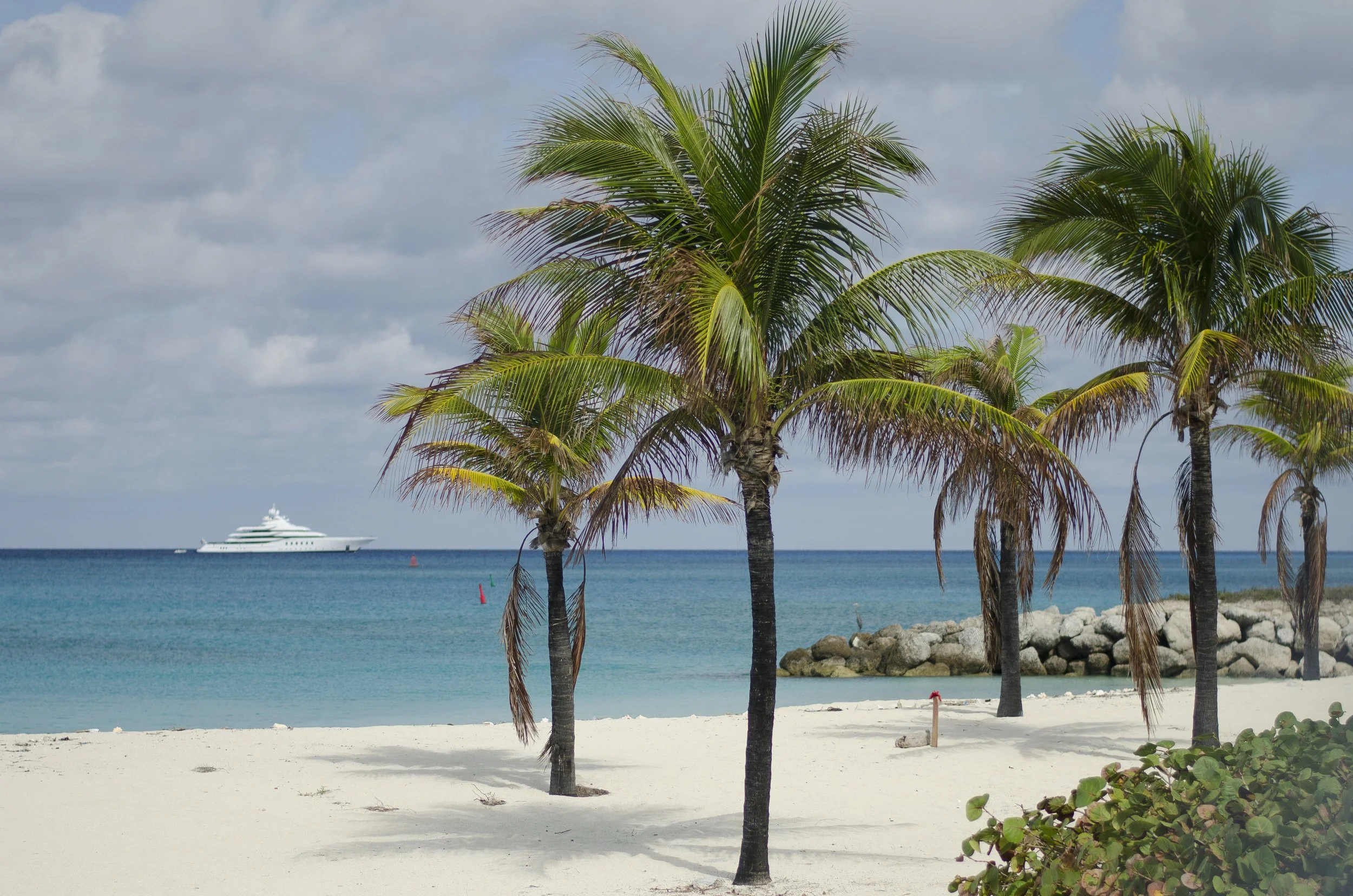 DSC_8024-R.jpg