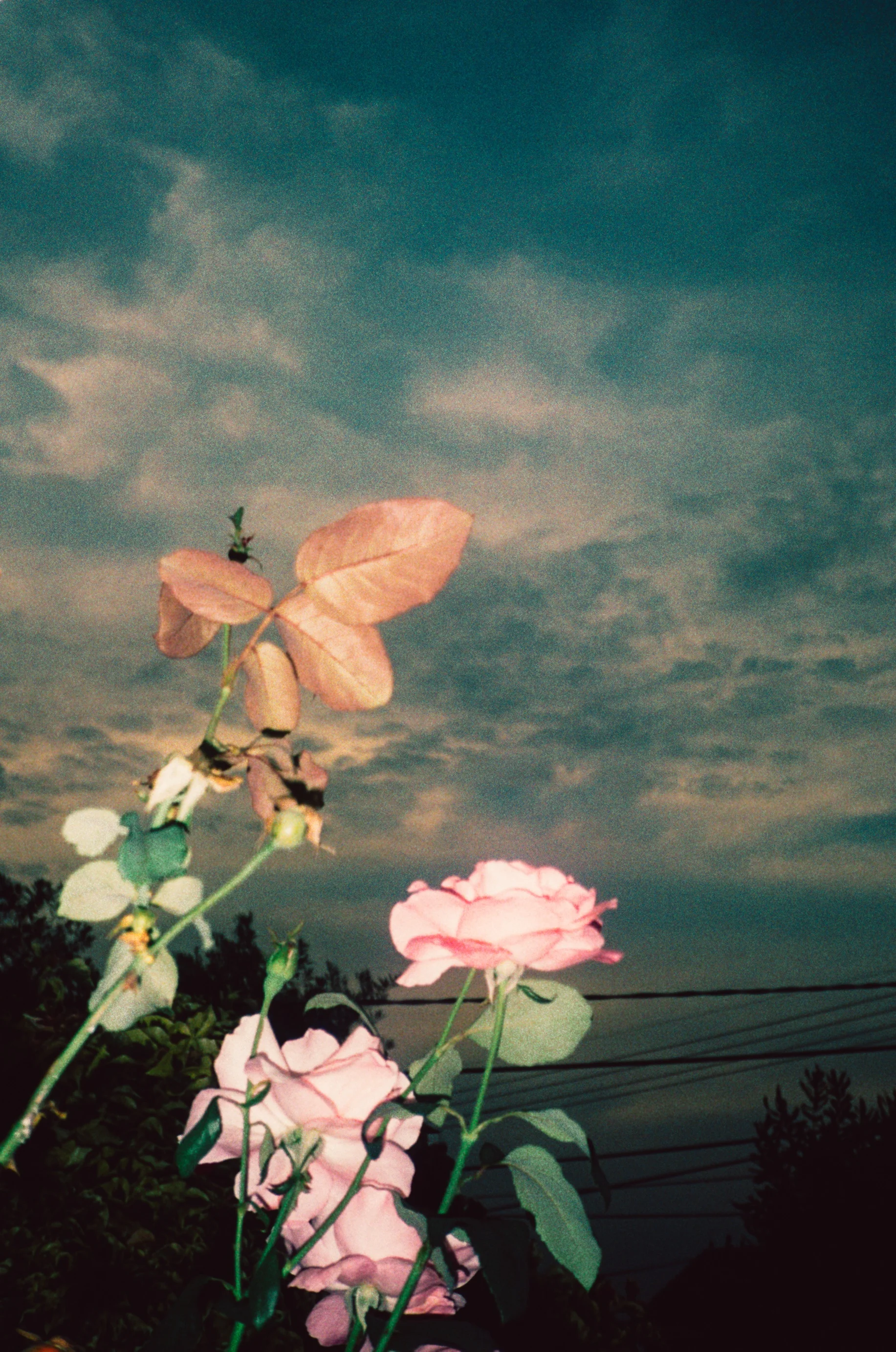 000412230032_30.jpg