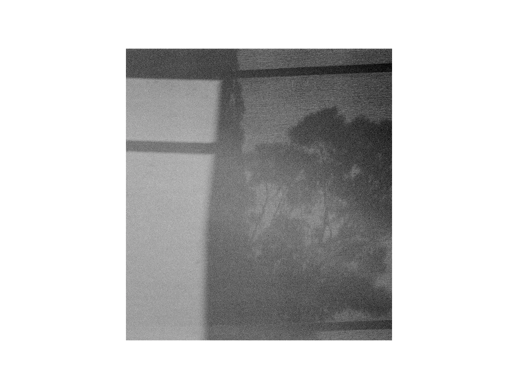 FRUITS OF THE VALLEYMETAXIA COUSTAS ODES STUDIO4.jpg