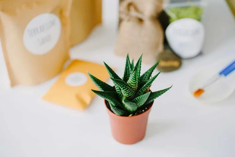 20+ Fun Spring Team Building Activities For Work