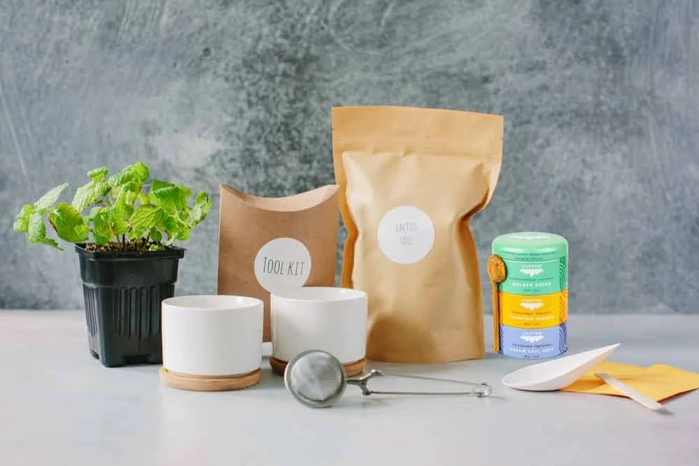 Virtual DIY Tea Garden Class + Kit