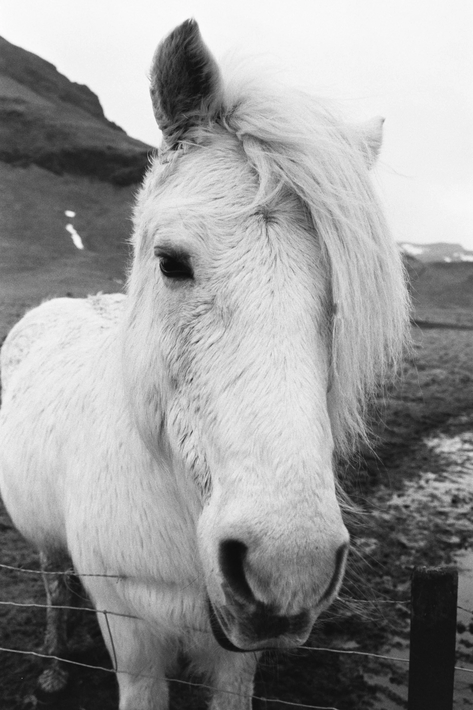 Iceland FIlm-4.jpg