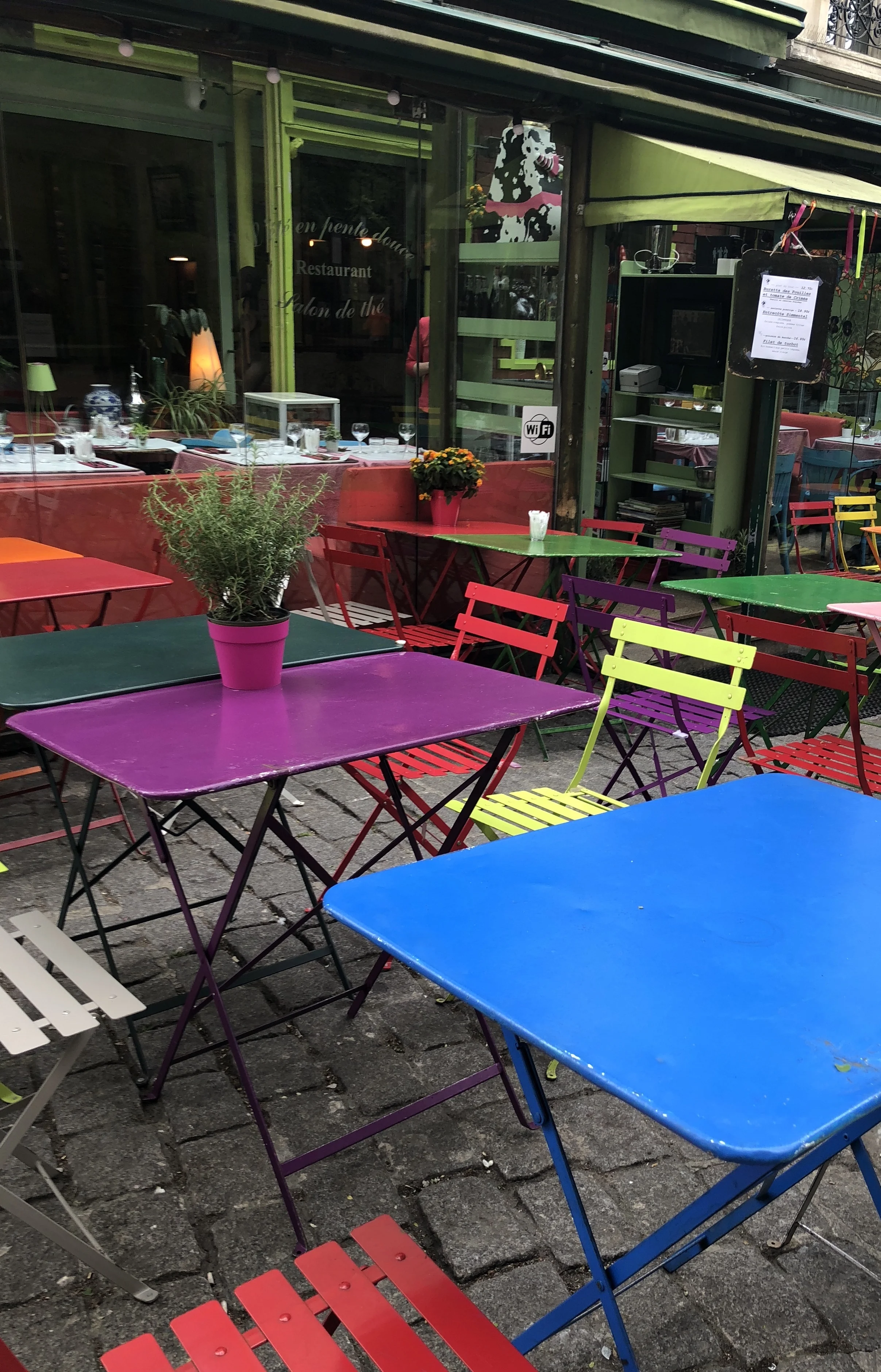 Discovering the Wholehearted Life