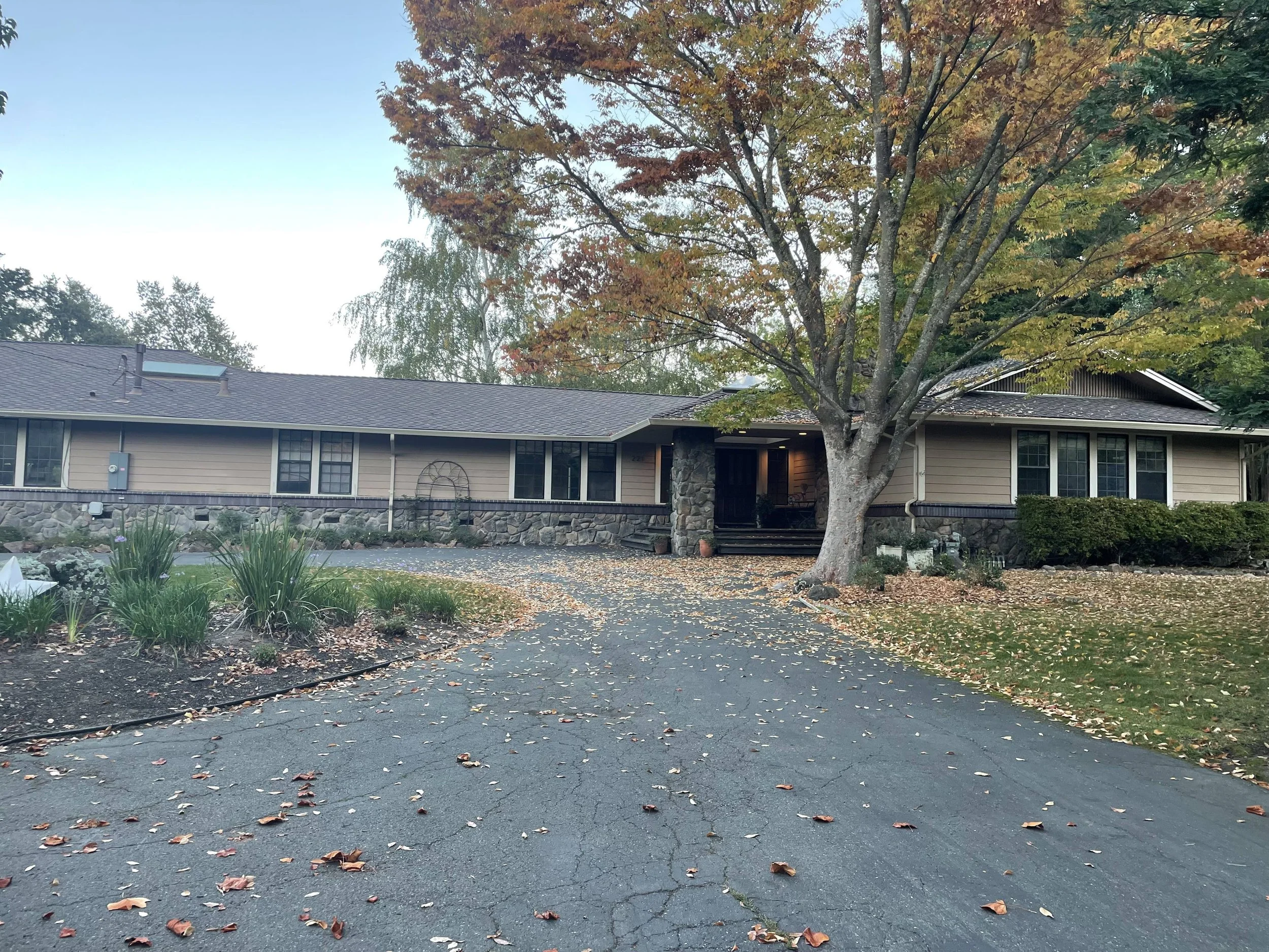 A residential house with a large tree in front, displaying colorful fall foliage. The driveway is covered with fallen leaves, and the house has a stone accent wall at the entrance.