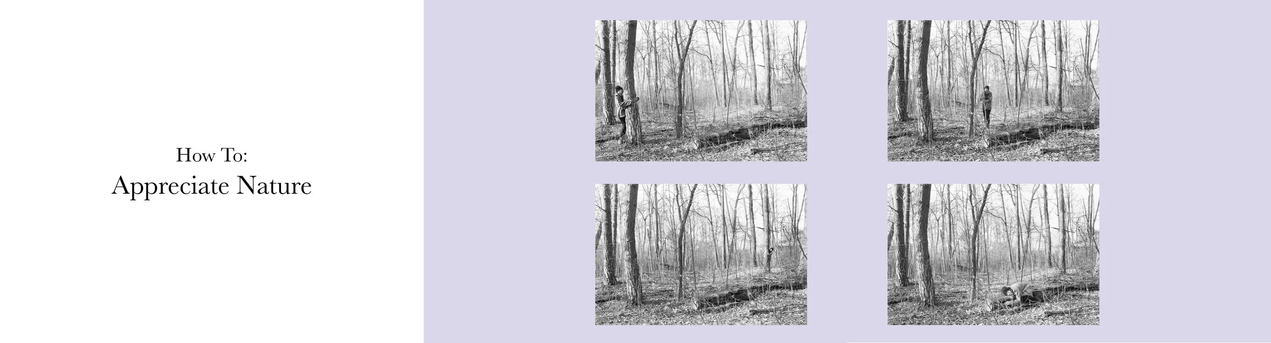 natureweb.jpg