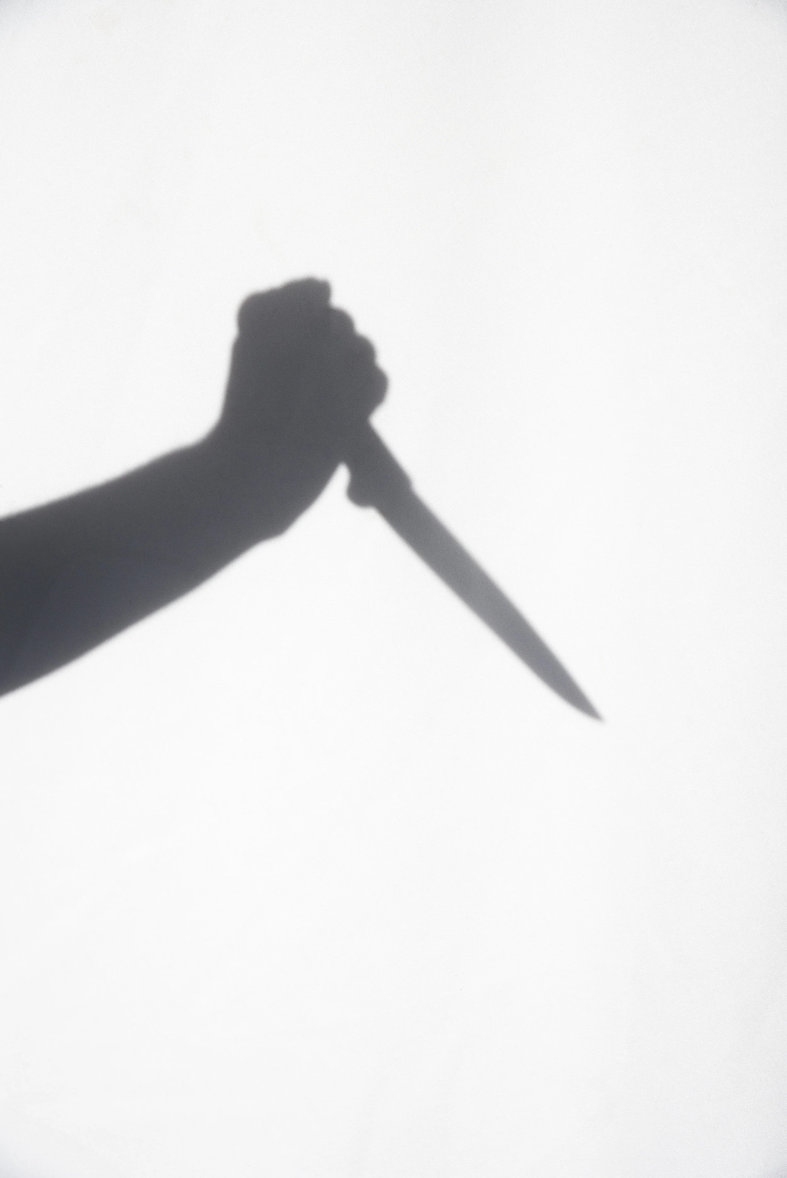 knifeweb.jpg