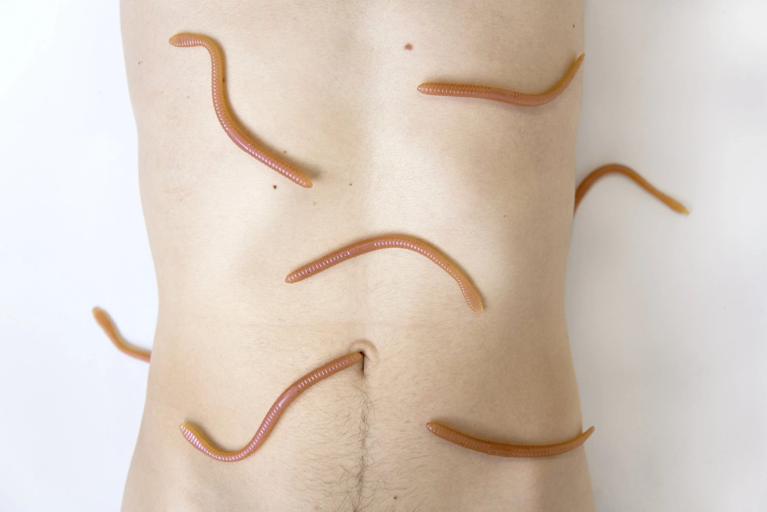 wormsweb.jpg