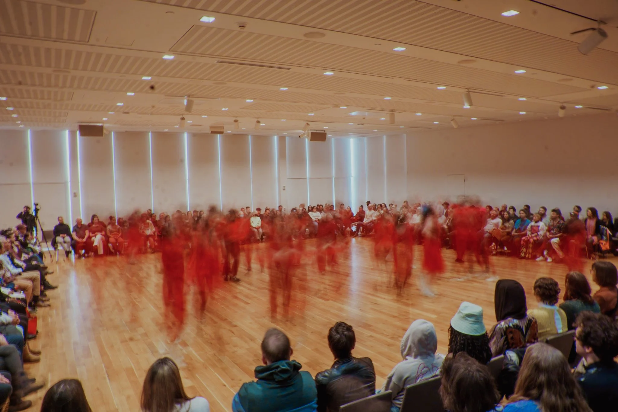 Community Performance Project: Summer 2024