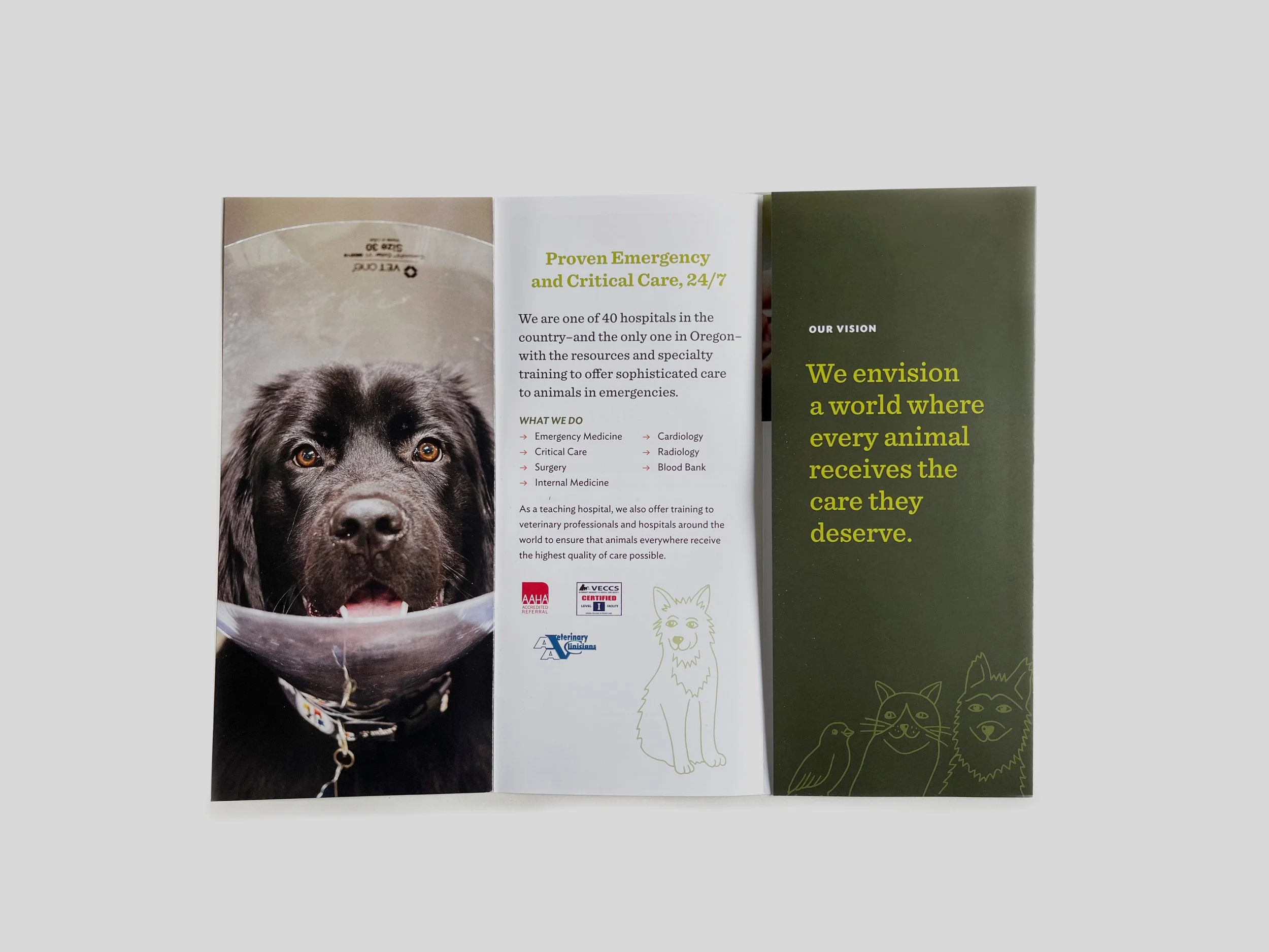 DoveLewisBrochure02.jpg