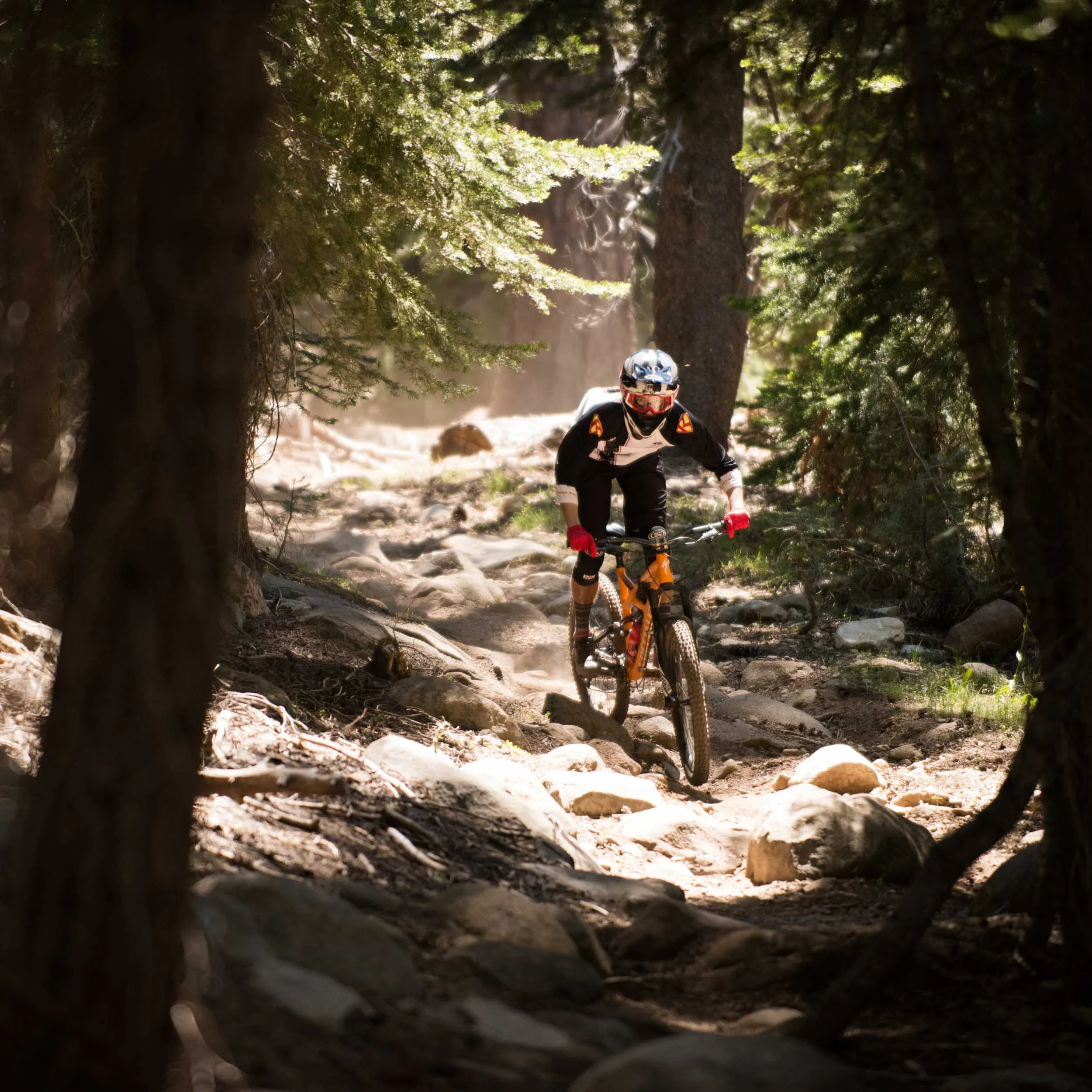 kman_cyclery_scott_duffield_mtb_crop_w.jpg