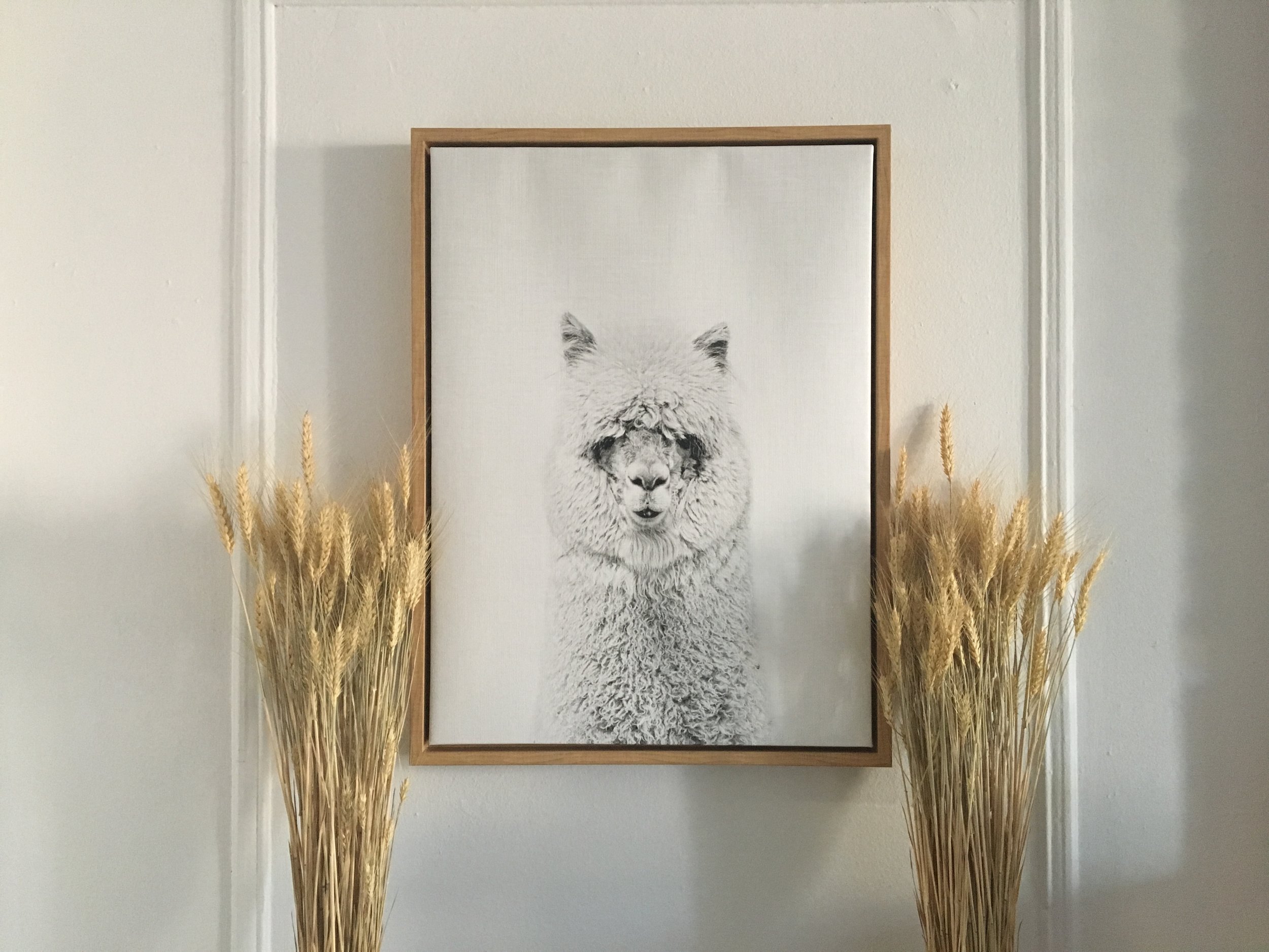  llama artwork 