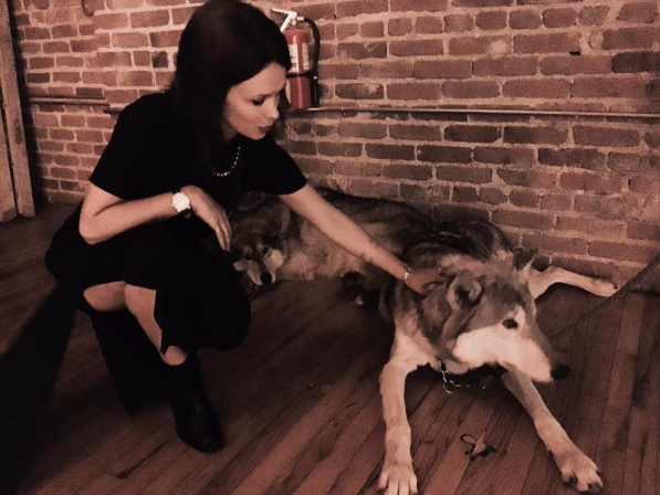  kaitlin with rescued wolf 
