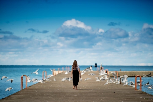 photo cred: unsplash.com