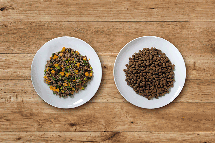 TFD_ingredients_animation_02b.gif