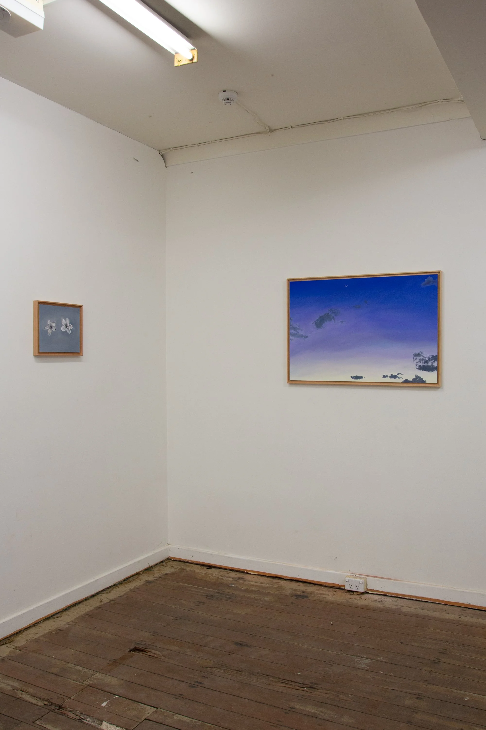 Fiona Harman- low res - Photographer Yvonne Doherty-31.jpg