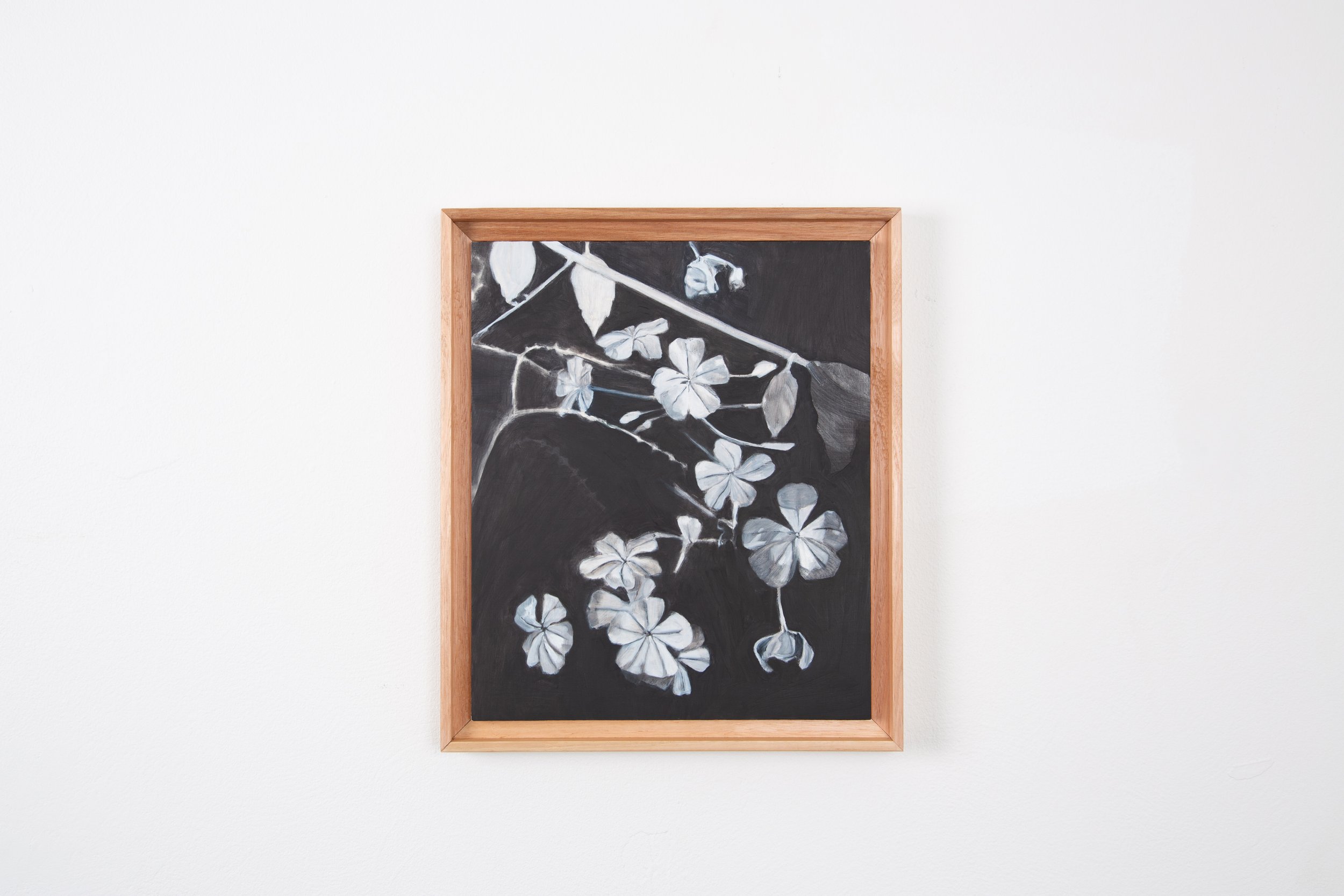 Fiona Harman- low res - Photographer Yvonne Doherty-21.jpg