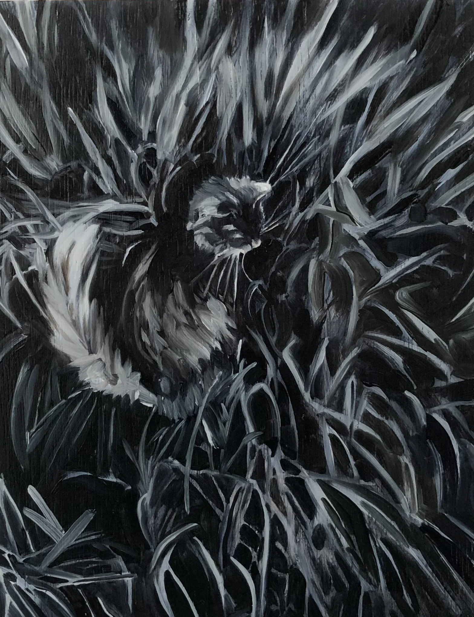  Tuft, 2023. Exhibited at The Great Reveal, Lawson Flats, Perth.  