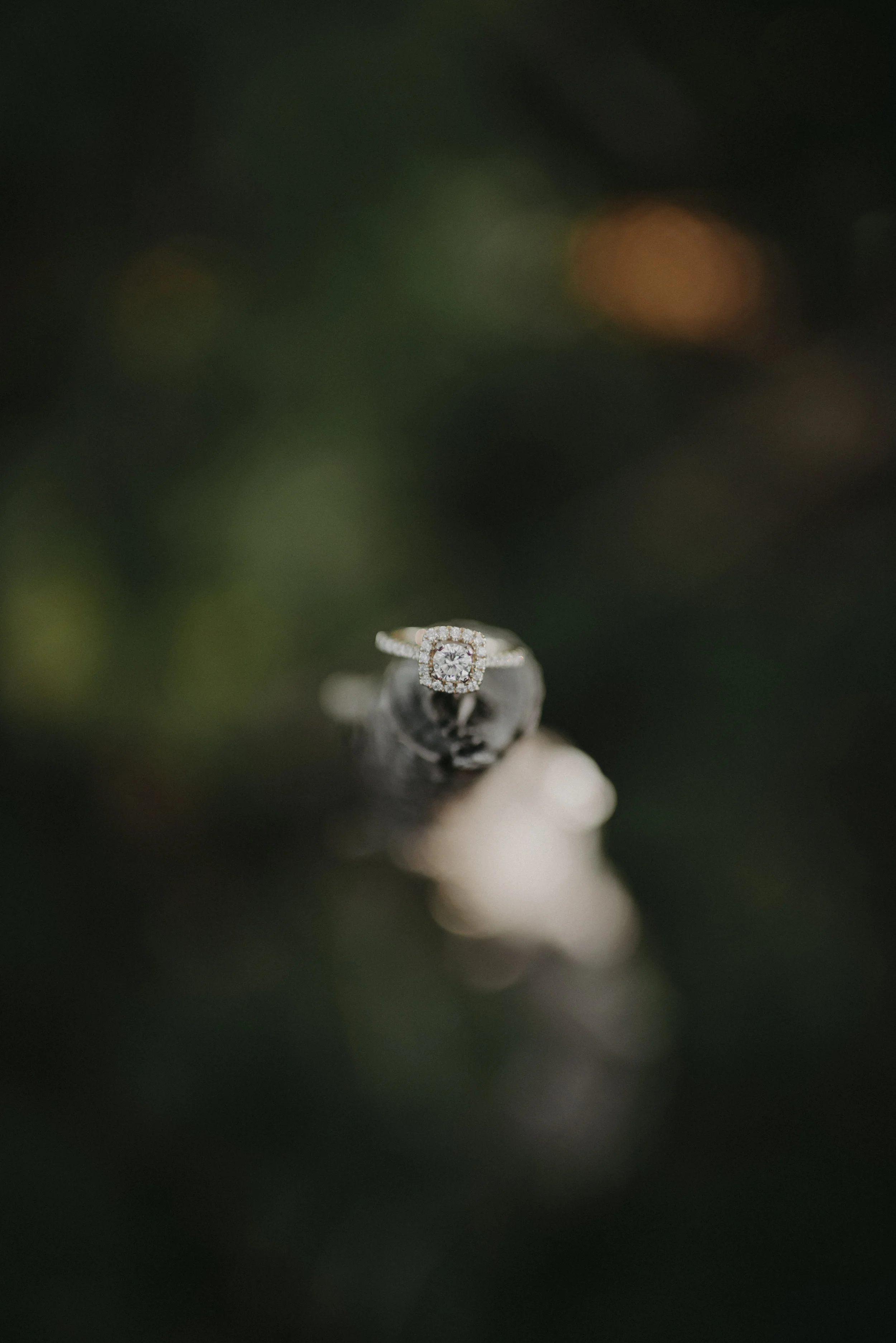 melyssa&brockston-51.jpg