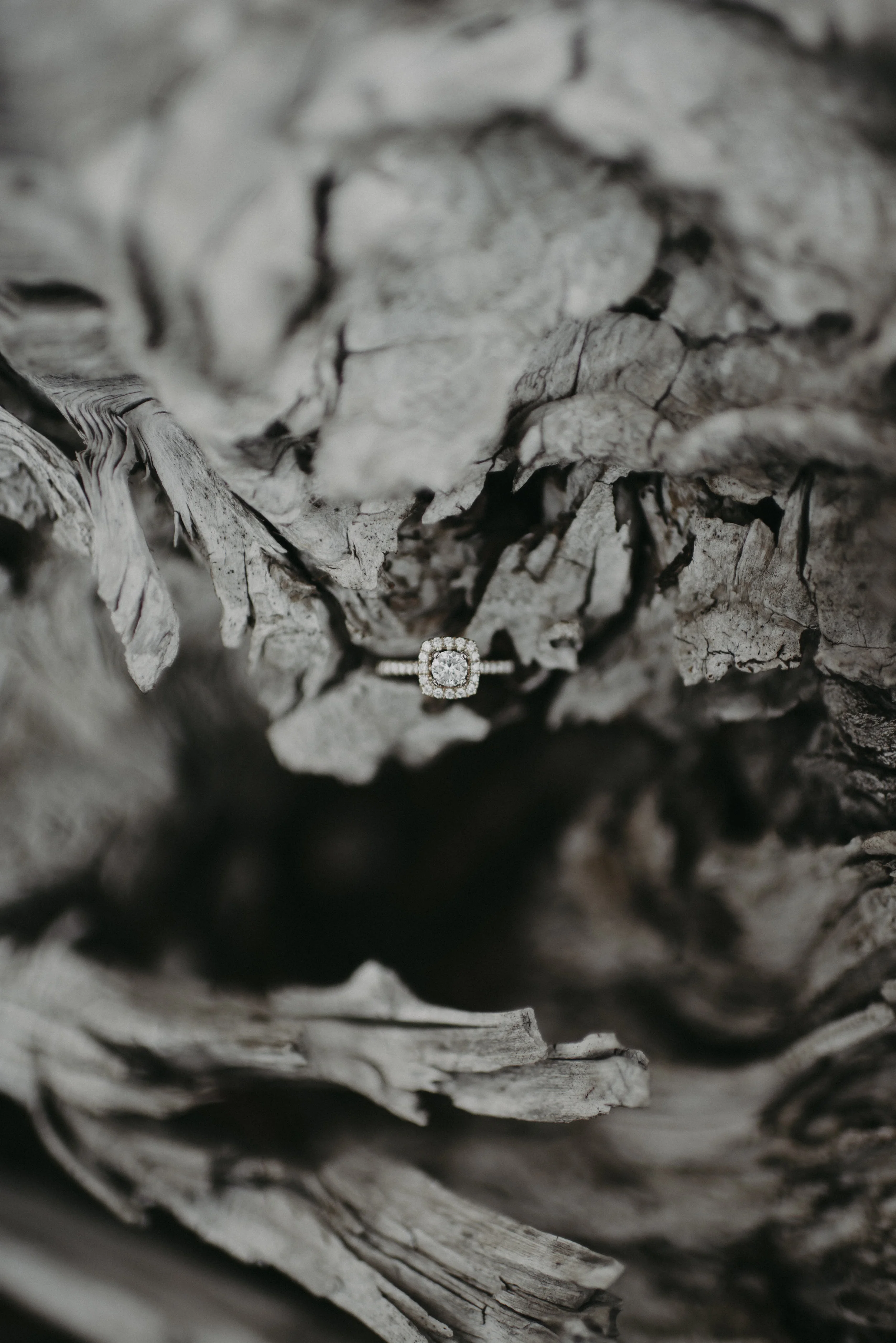 melyssa&brockston-106.jpg