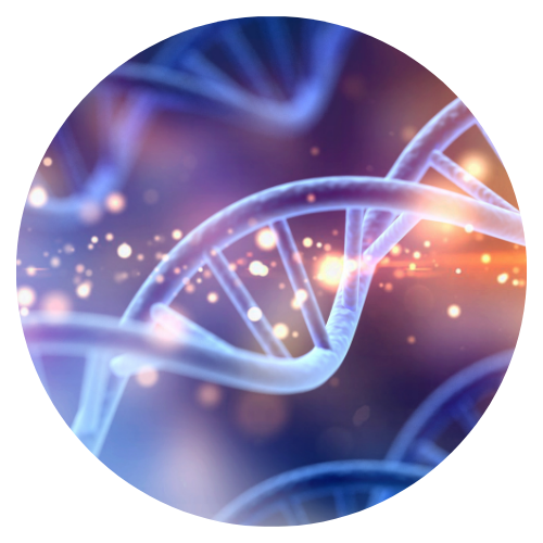 Exploring DNA Fundamentals